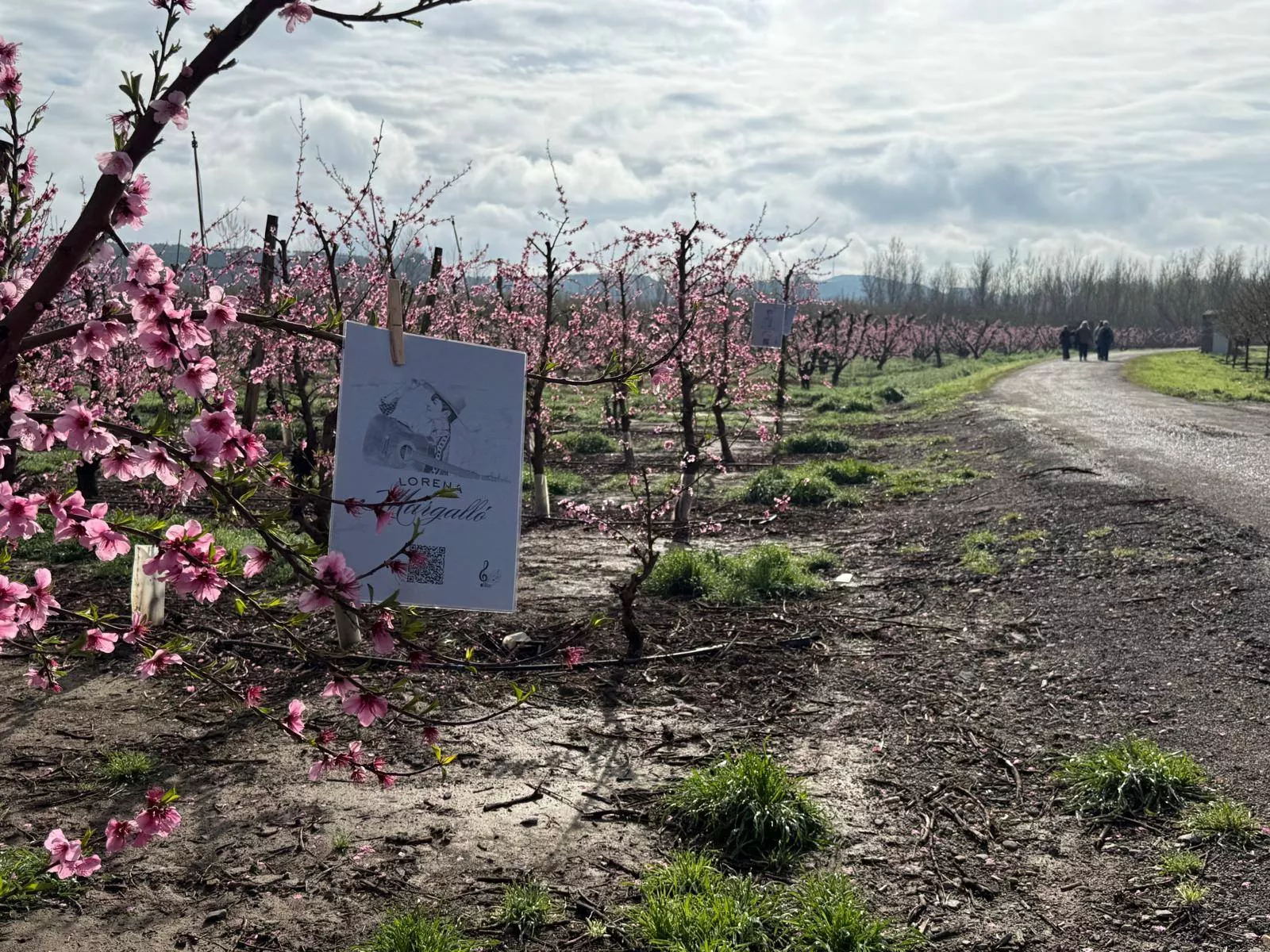 IX Ruta de la Floración de Fraga.