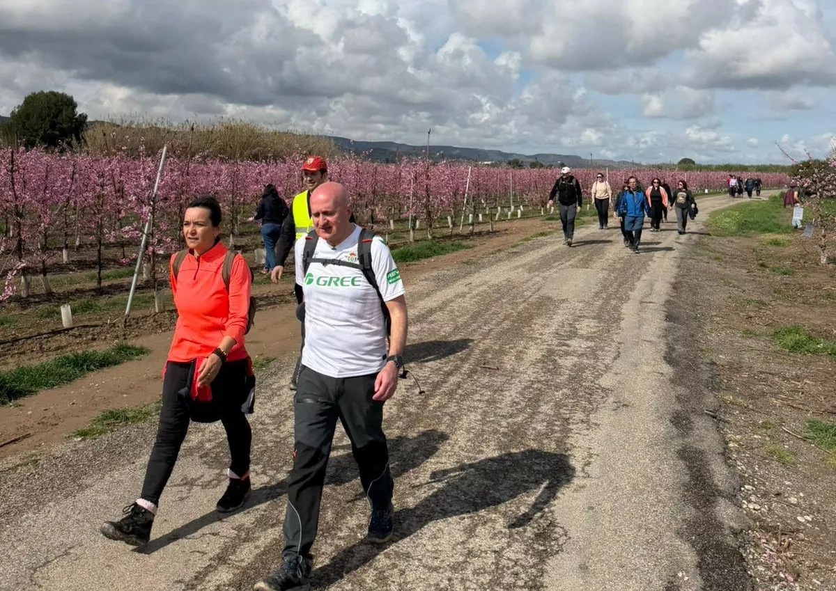 IX Ruta de la Floración de Fraga.