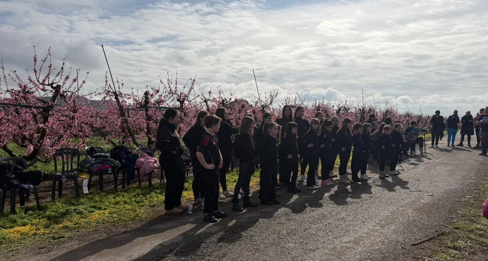 IX Ruta de la Floración de Fraga.
