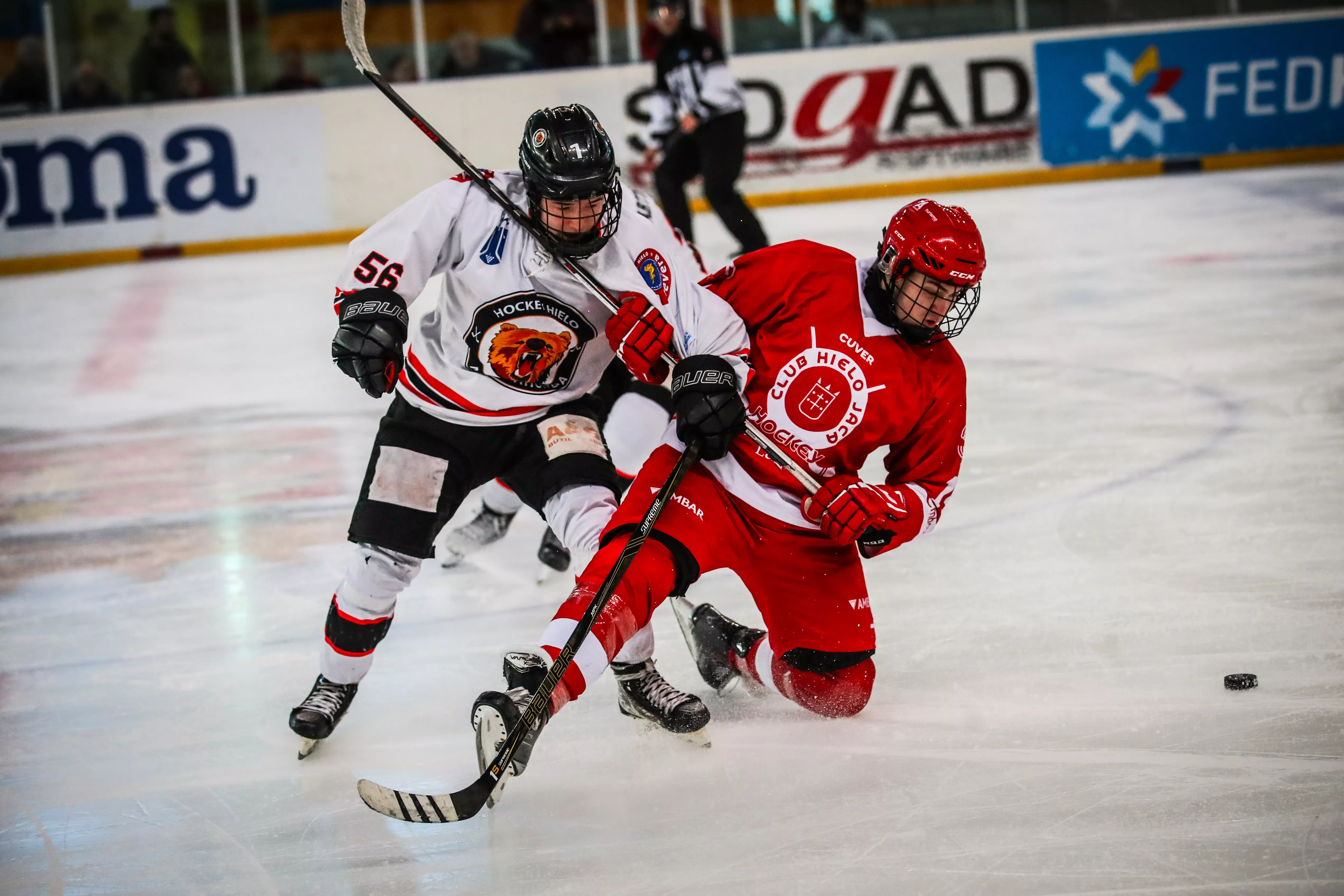 LNHH Loterias   Liga Iberica CH Jaca vs SH Majadahonda 2026 FOTO CHJ LUCIA BENAISA 