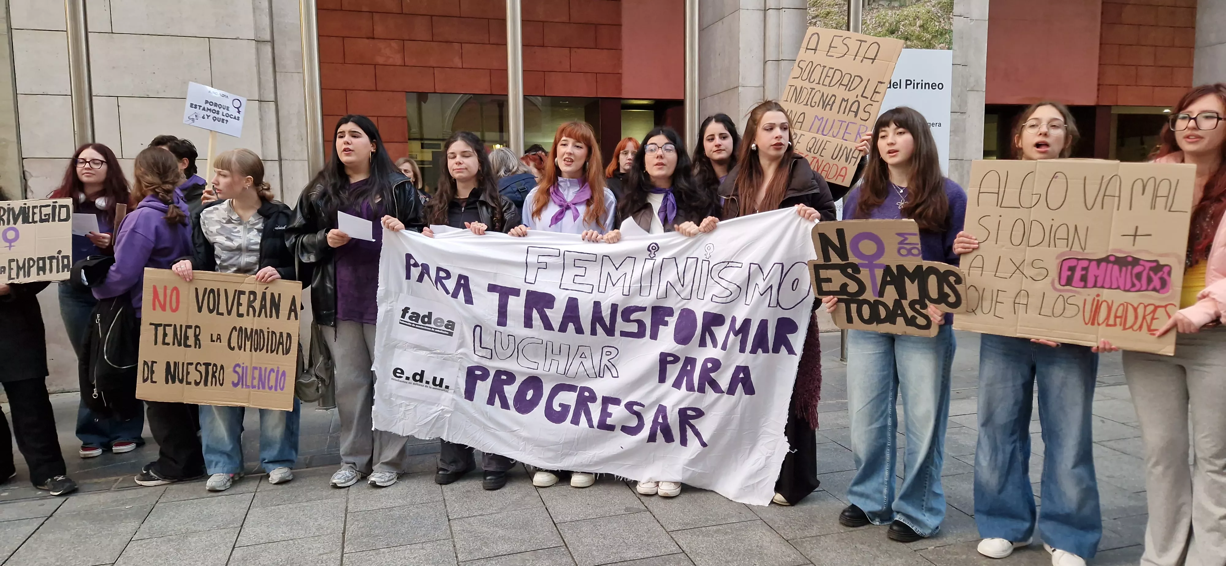 Manifestación del 8M, Día Internacional de la Mujer, en Huesca. Foto Myriam Martínez