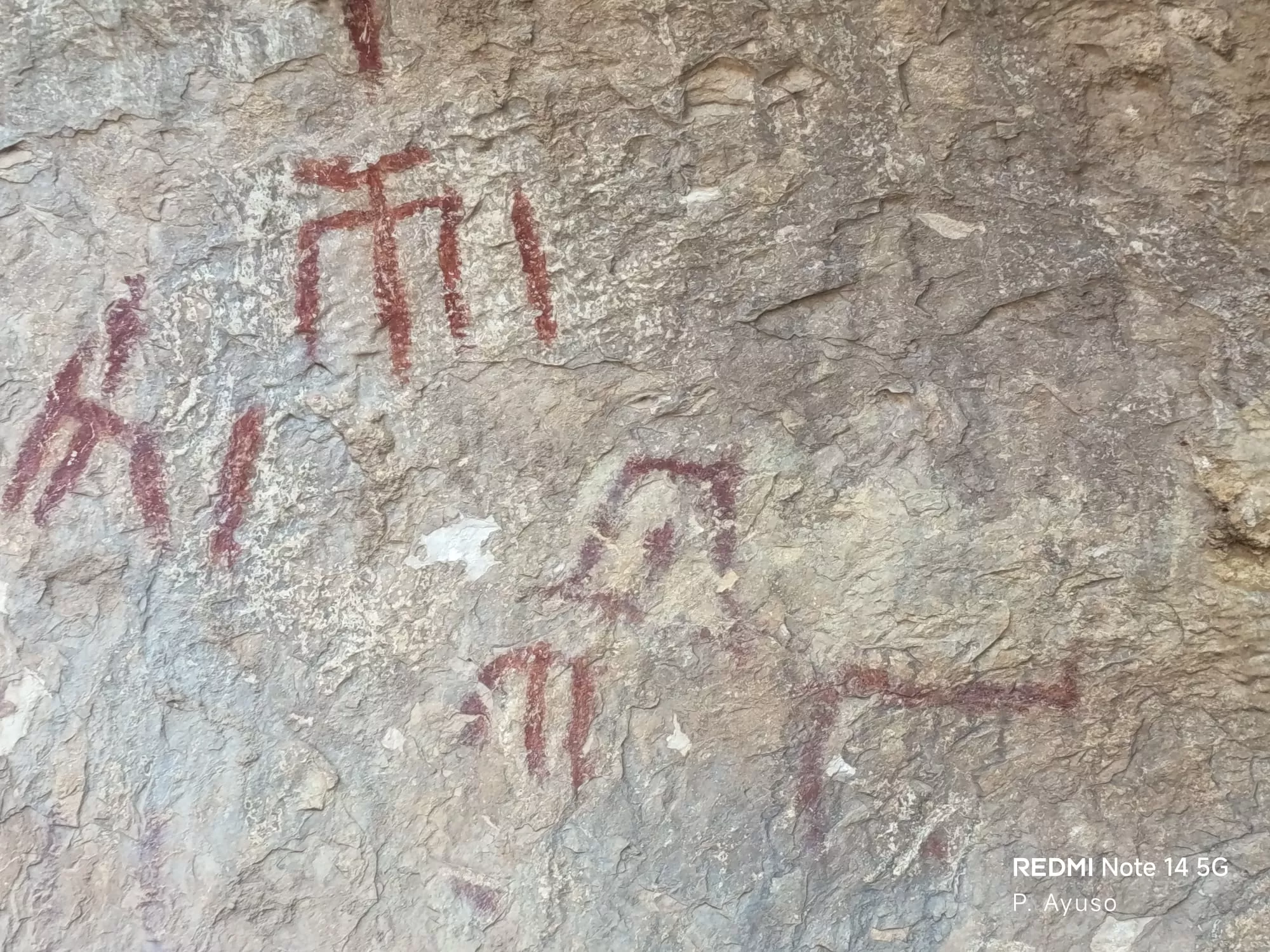 Por el valle de Rodellar.