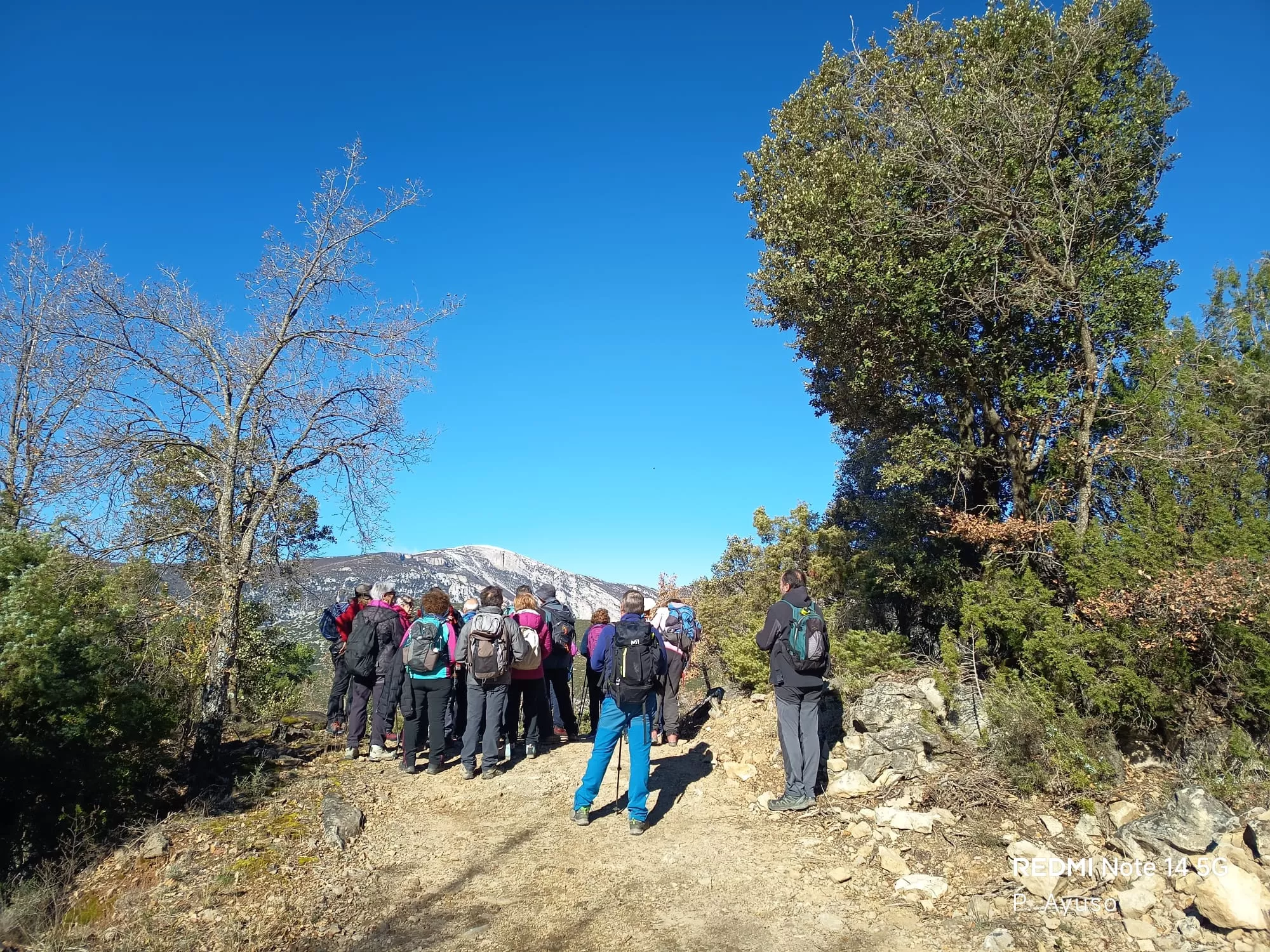 Por el valle de Rodellar.