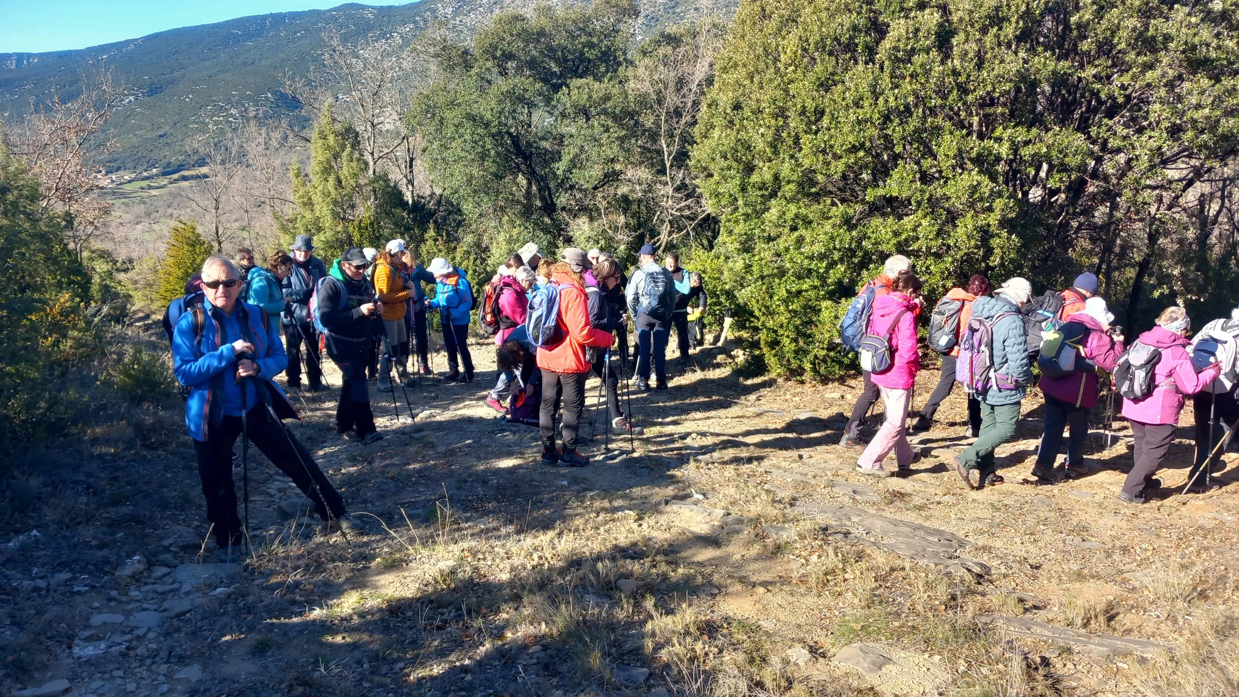 Por el valle de Rodellar.