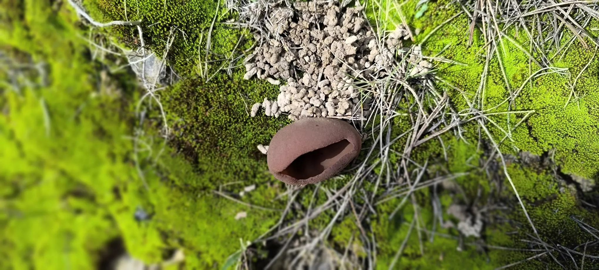 Excursión de Unizar desde Ayerbe a Erés, Biscarrués y Mallos de Riglos. Foto Joaquín Santafé
