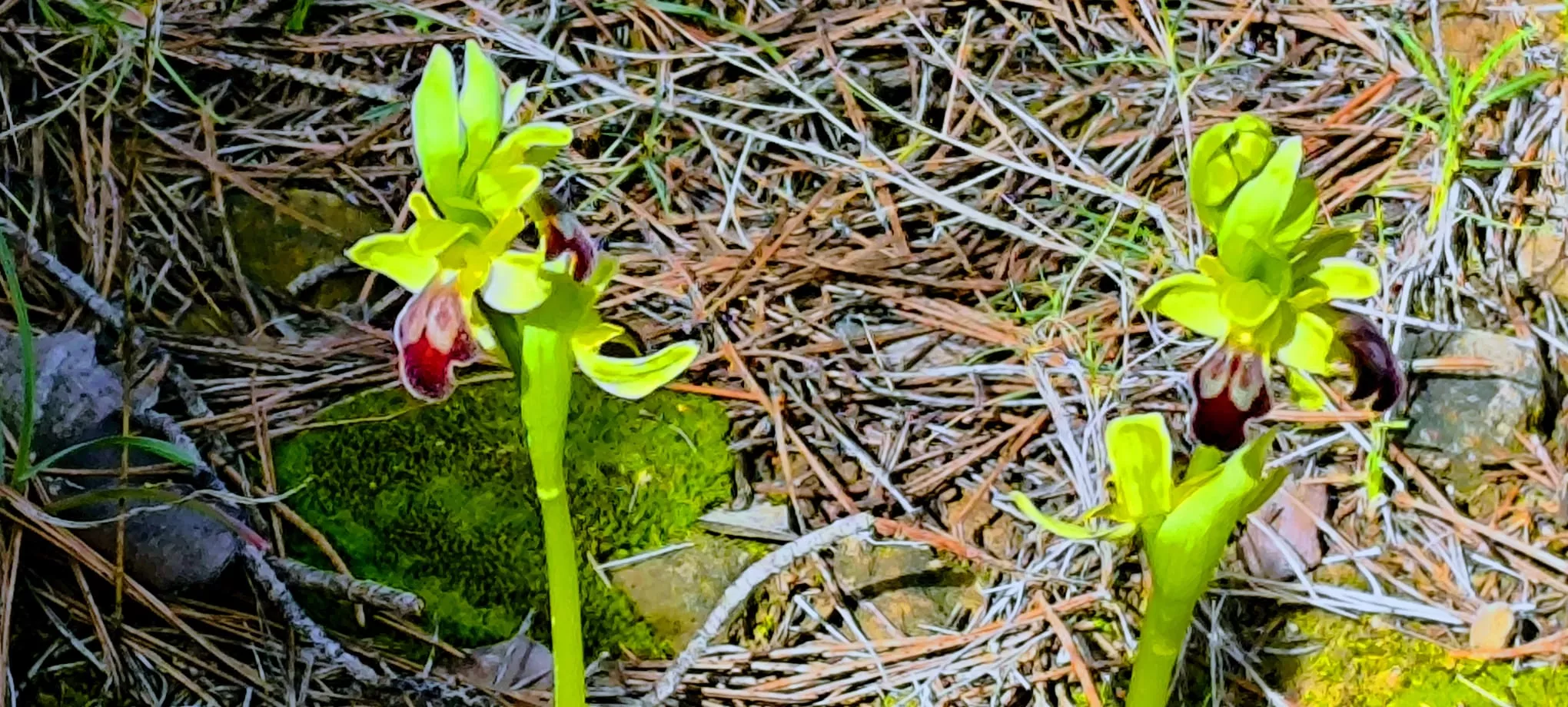 Excursión de Unizar desde Ayerbe a Erés, Biscarrués y Mallos de Riglos. Foto Joaquín Santafé