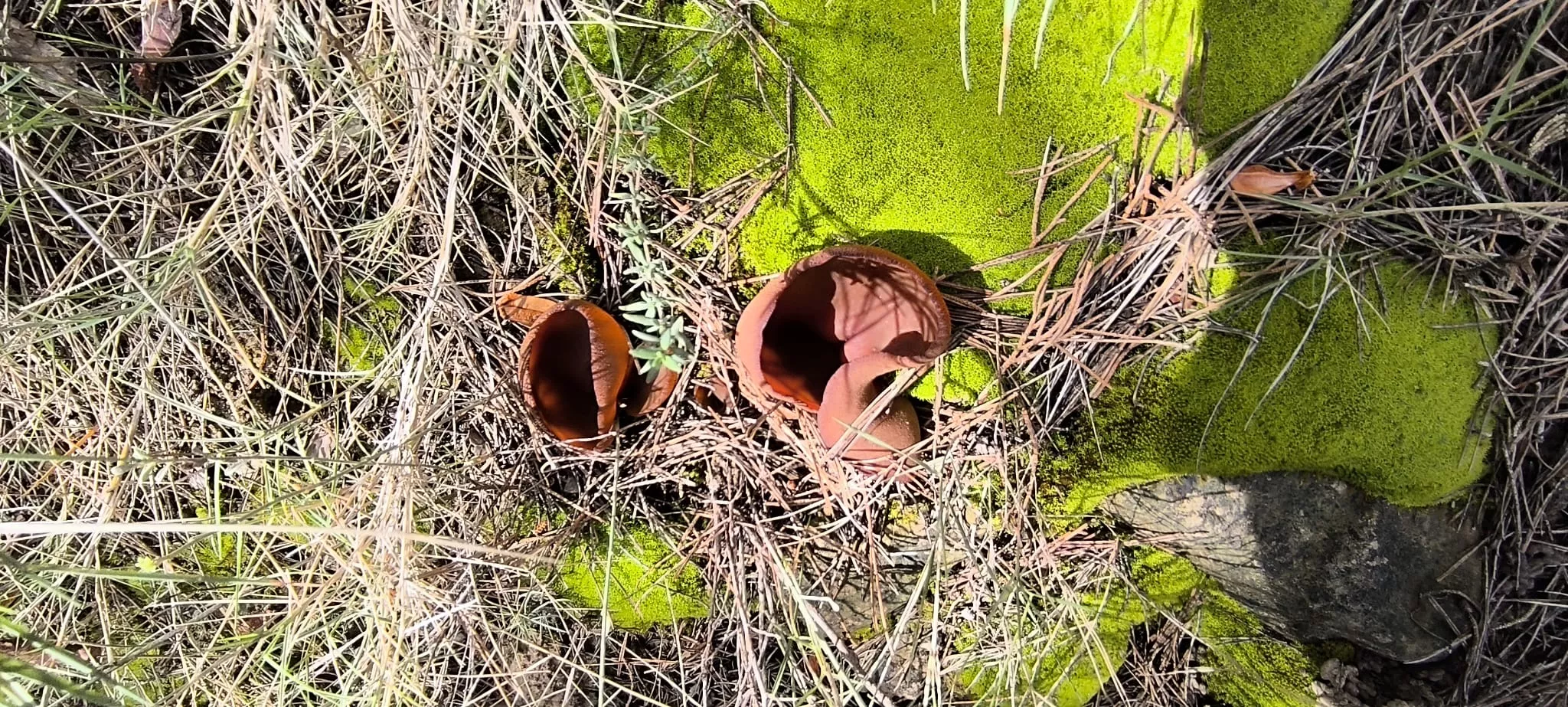 Excursión de Unizar desde Ayerbe a Erés, Biscarrués y Mallos de Riglos. Foto Joaquín Santafé