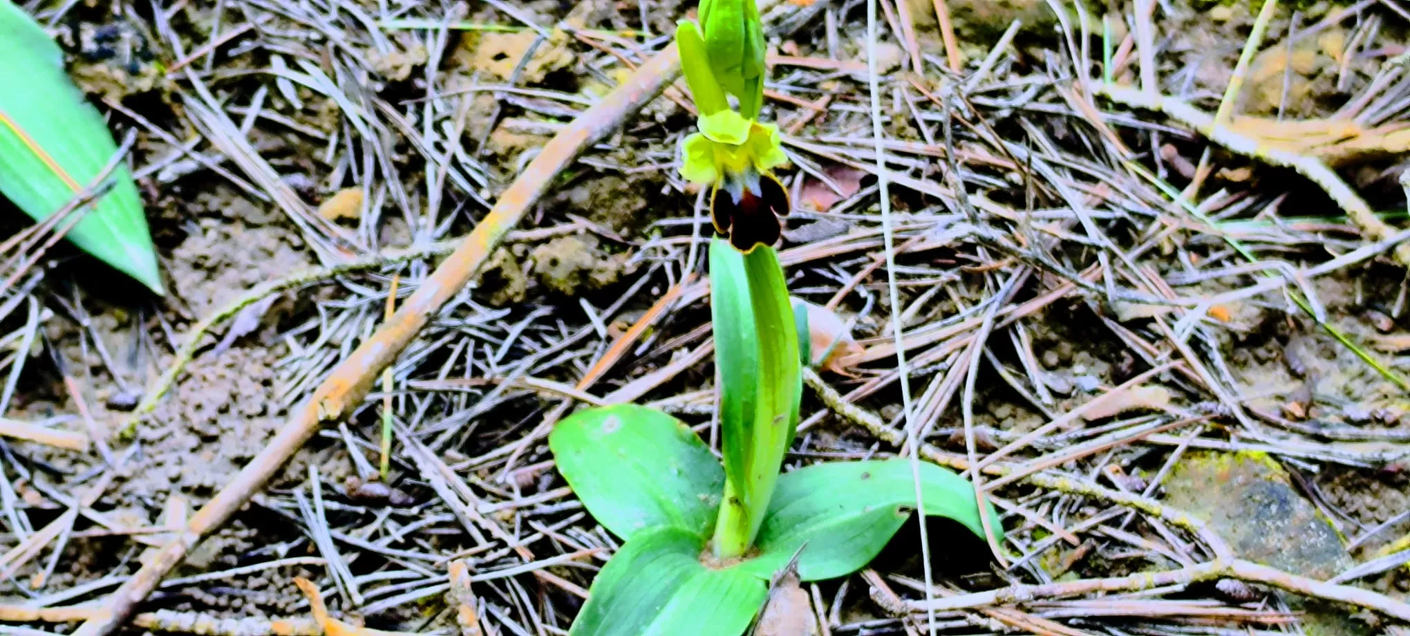 Excursión de Unizar desde Ayerbe a Erés, Biscarrués y Mallos de Riglos. Foto Joaquín Santafé