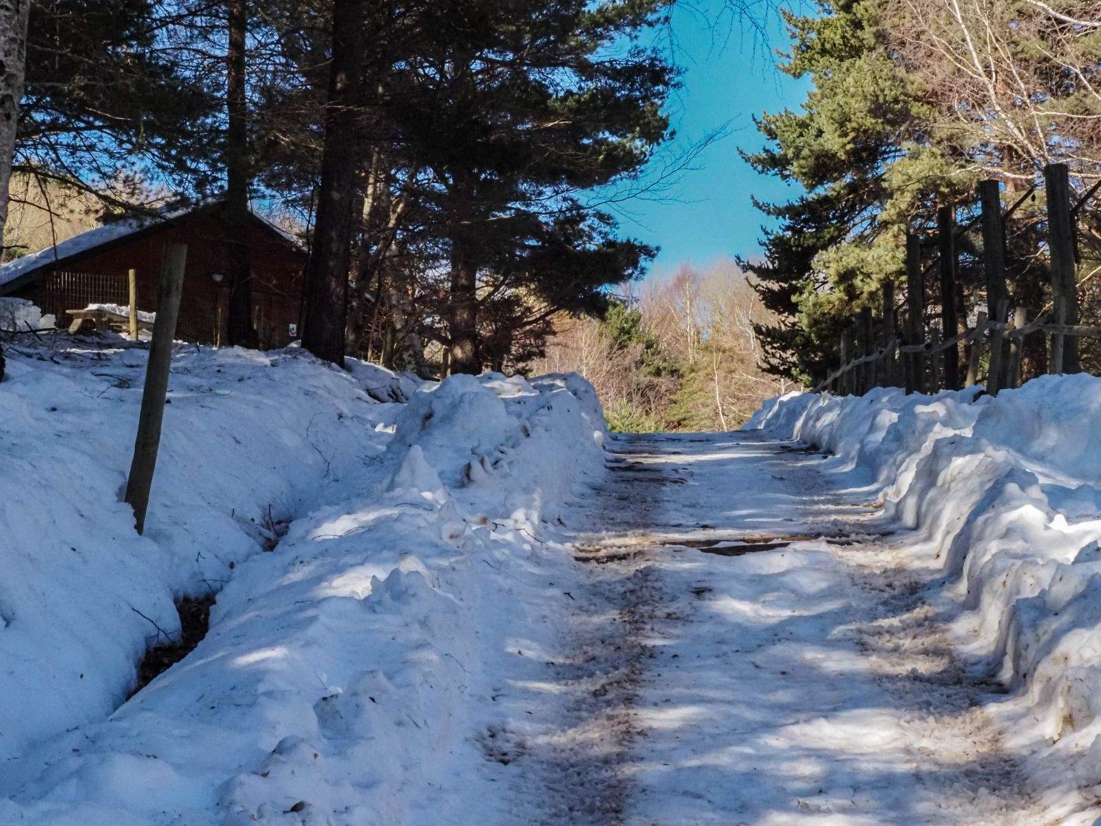 Imágenes del Parque Faunístico Lacuniacha. Foto José Antonio Terrón 