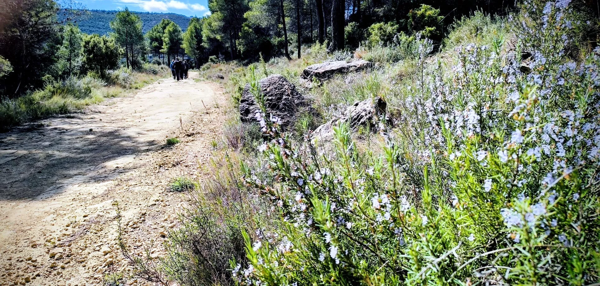 Excursión de Unizar desde Ayerbe a Erés, Biscarrués y Mallos de Riglos. Foto Joaquín Santafé