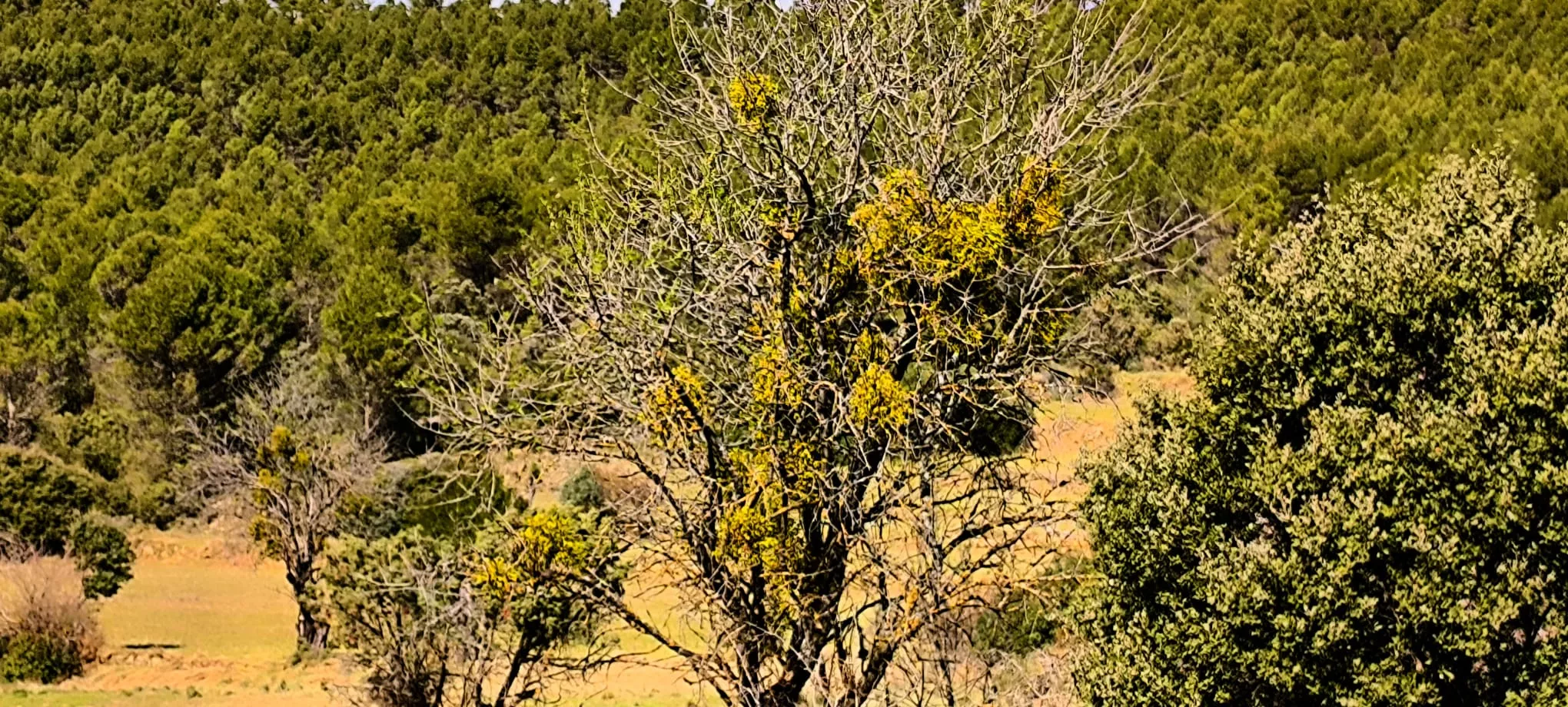 Excursión de Unizar desde Ayerbe a Erés, Biscarrués y Mallos de Riglos. Foto Joaquín Santafé