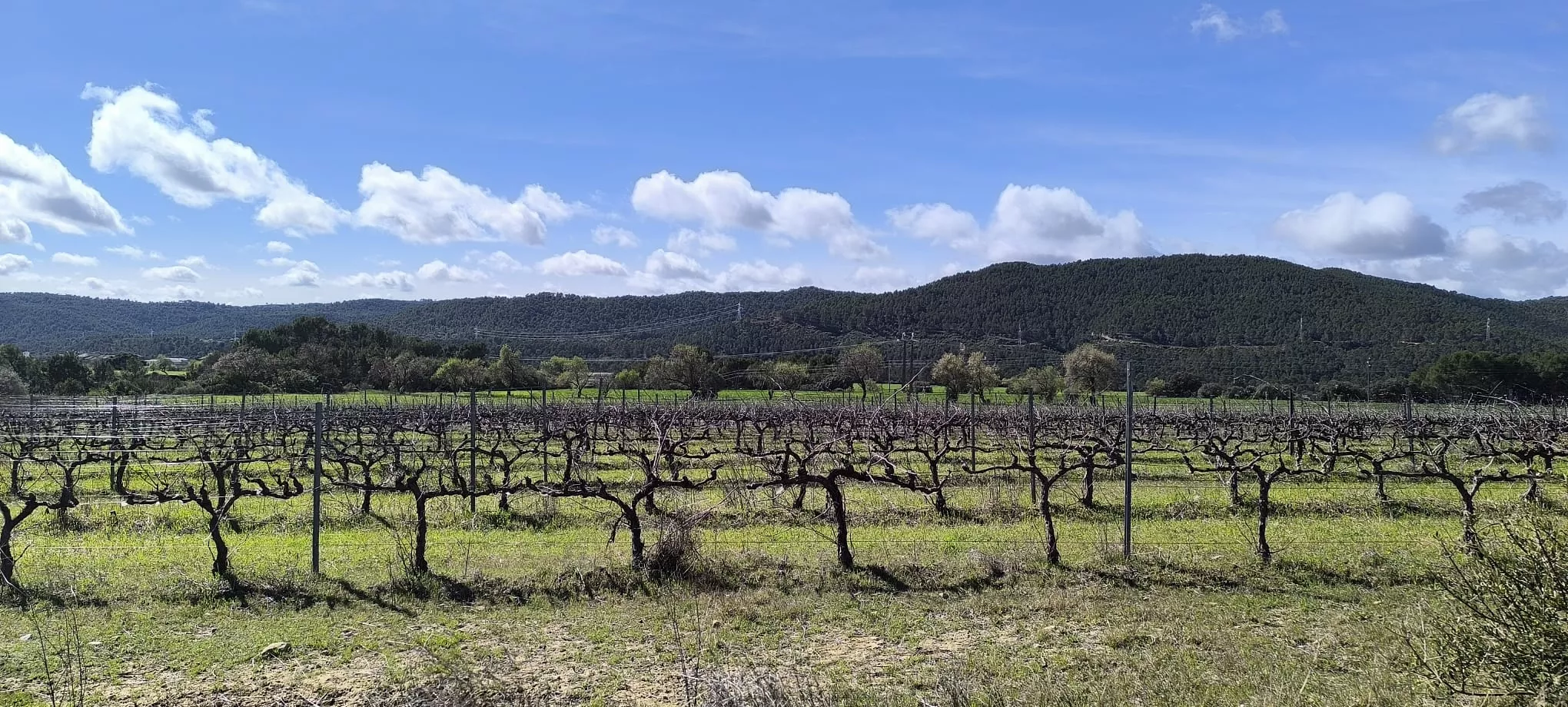 Excursión de Unizar desde Ayerbe a Erés, Biscarrués y Mallos de Riglos. Foto Joaquín Santafé