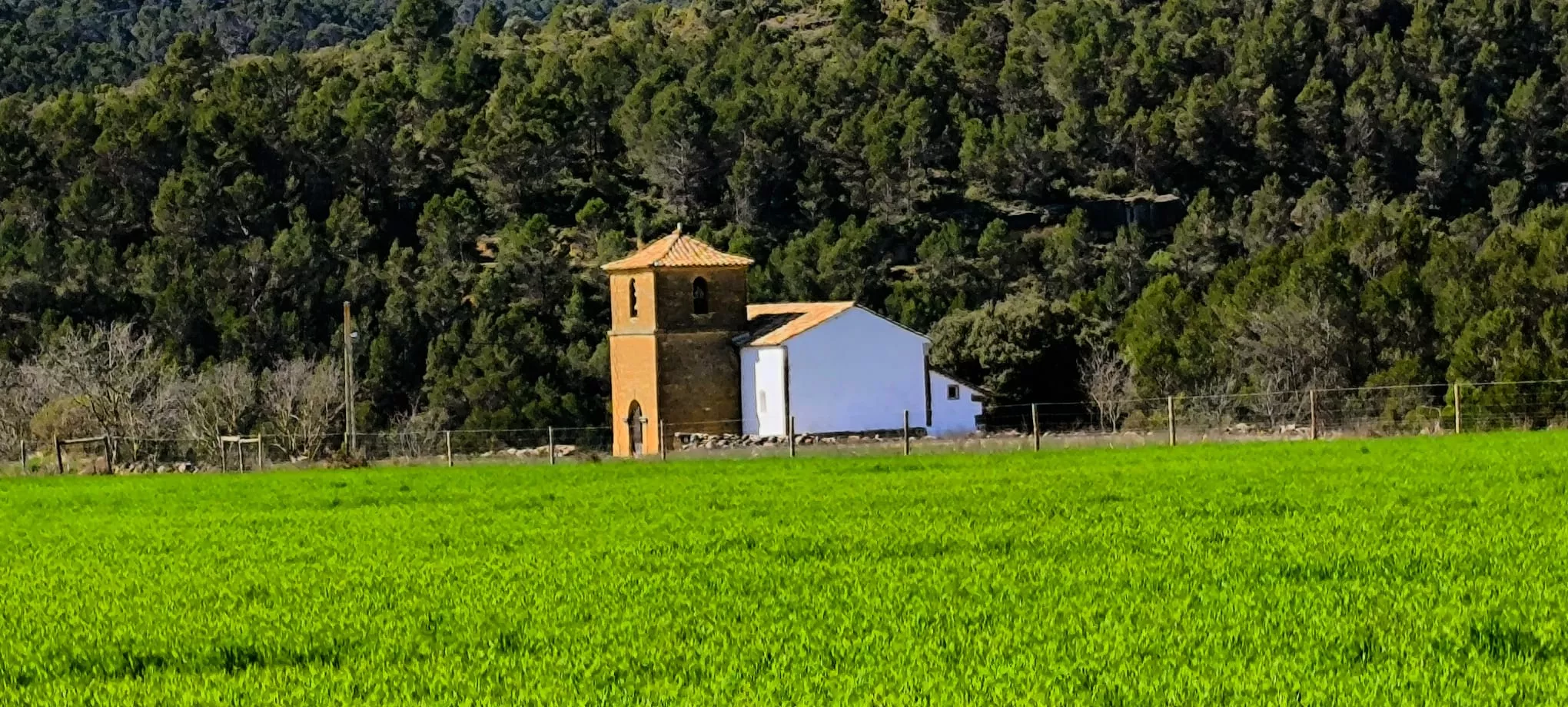 Excursión de Unizar desde Ayerbe a Erés, Biscarrués y Mallos de Riglos. Foto Joaquín Santafé