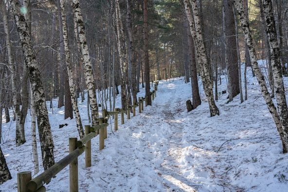 Imágenes del Parque Faunístico Lacuniacha. Foto José Antonio Terrón 