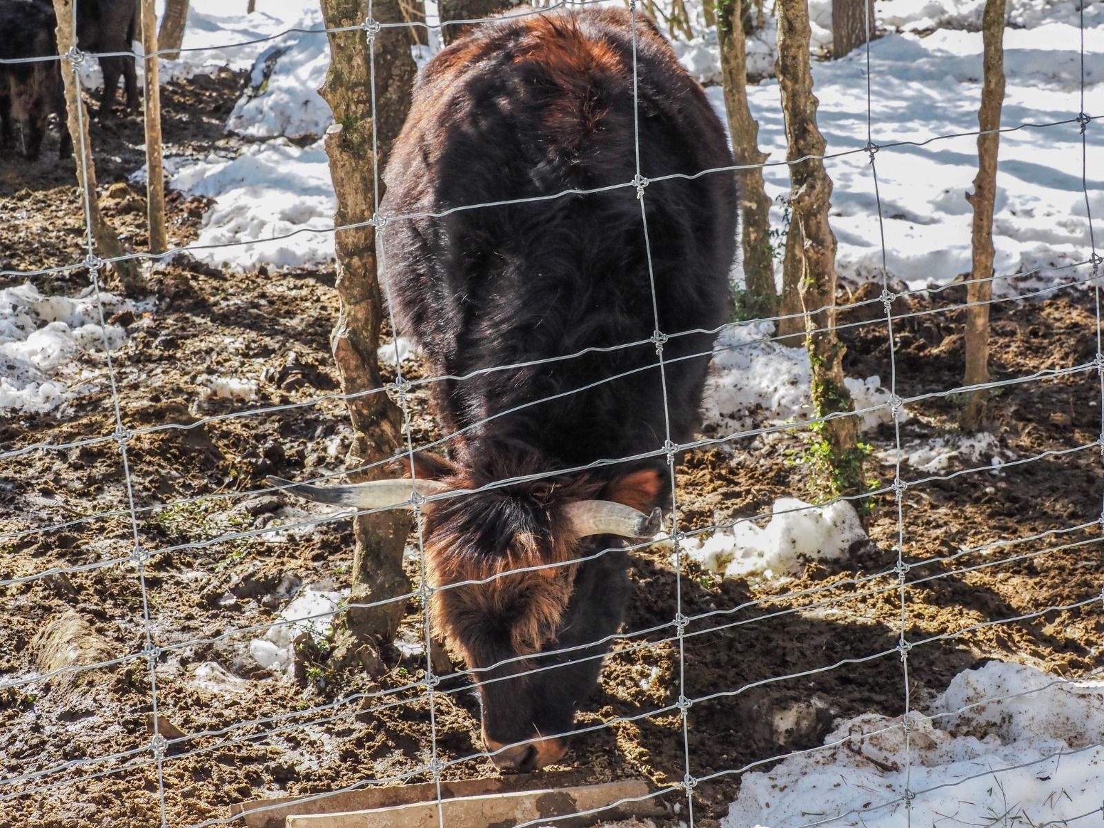 Imágenes del Parque Faunístico Lacuniacha. Foto José Antonio Terrón
