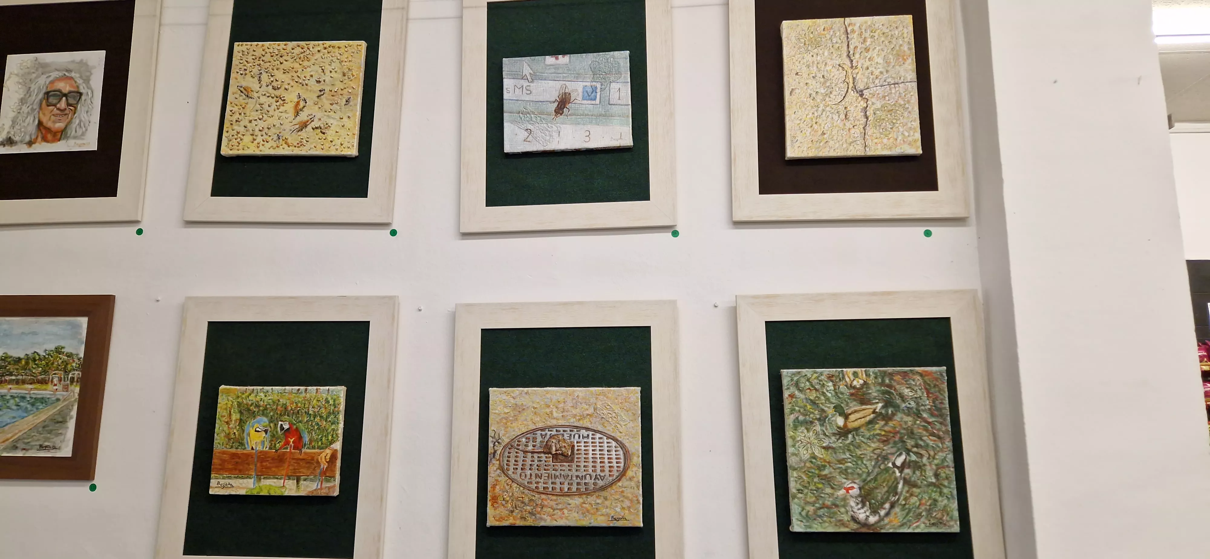 Exposición Animalitos de ciudad de Begoña Sopena. Foto Myriam Martínez