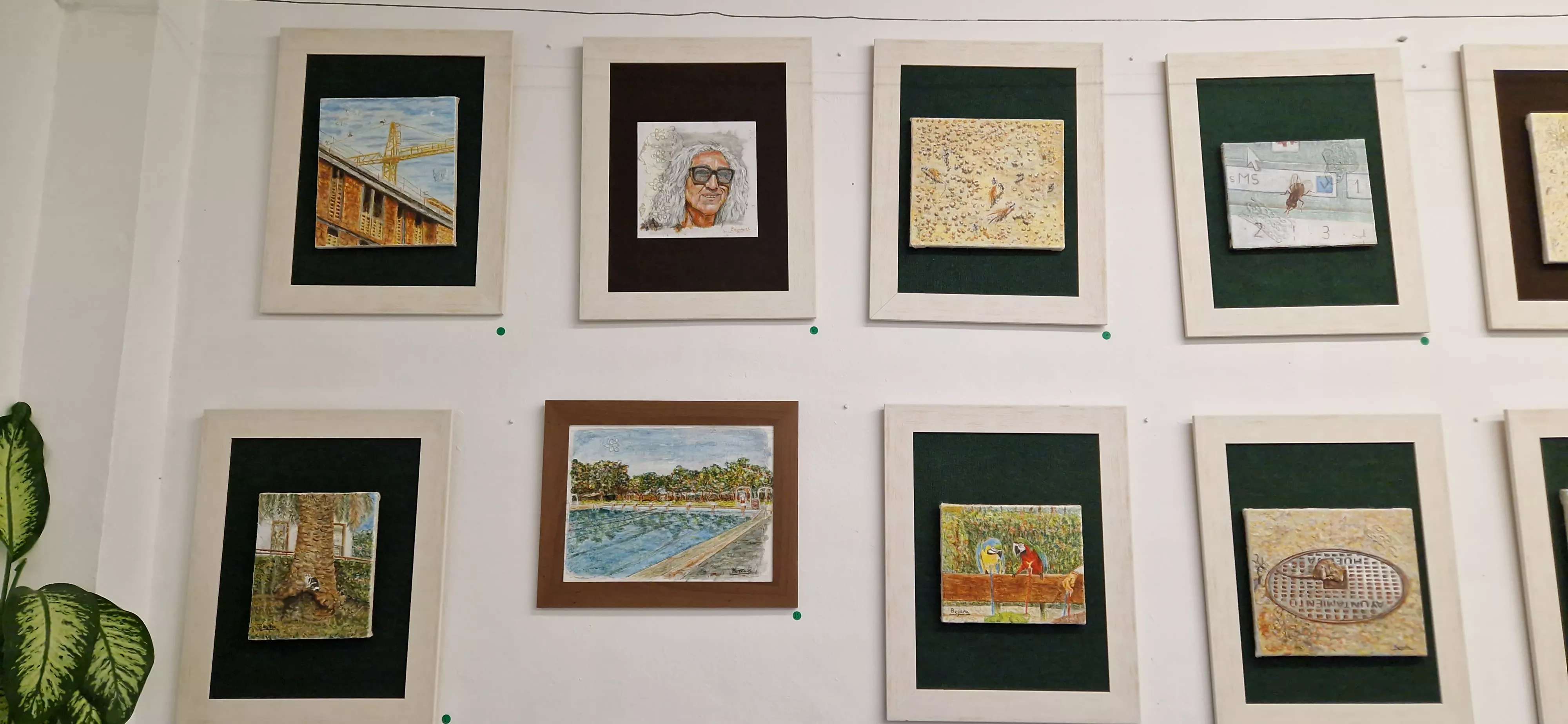 Exposición Animalitos de ciudad de Begoña Sopena. Foto Myriam Martínez