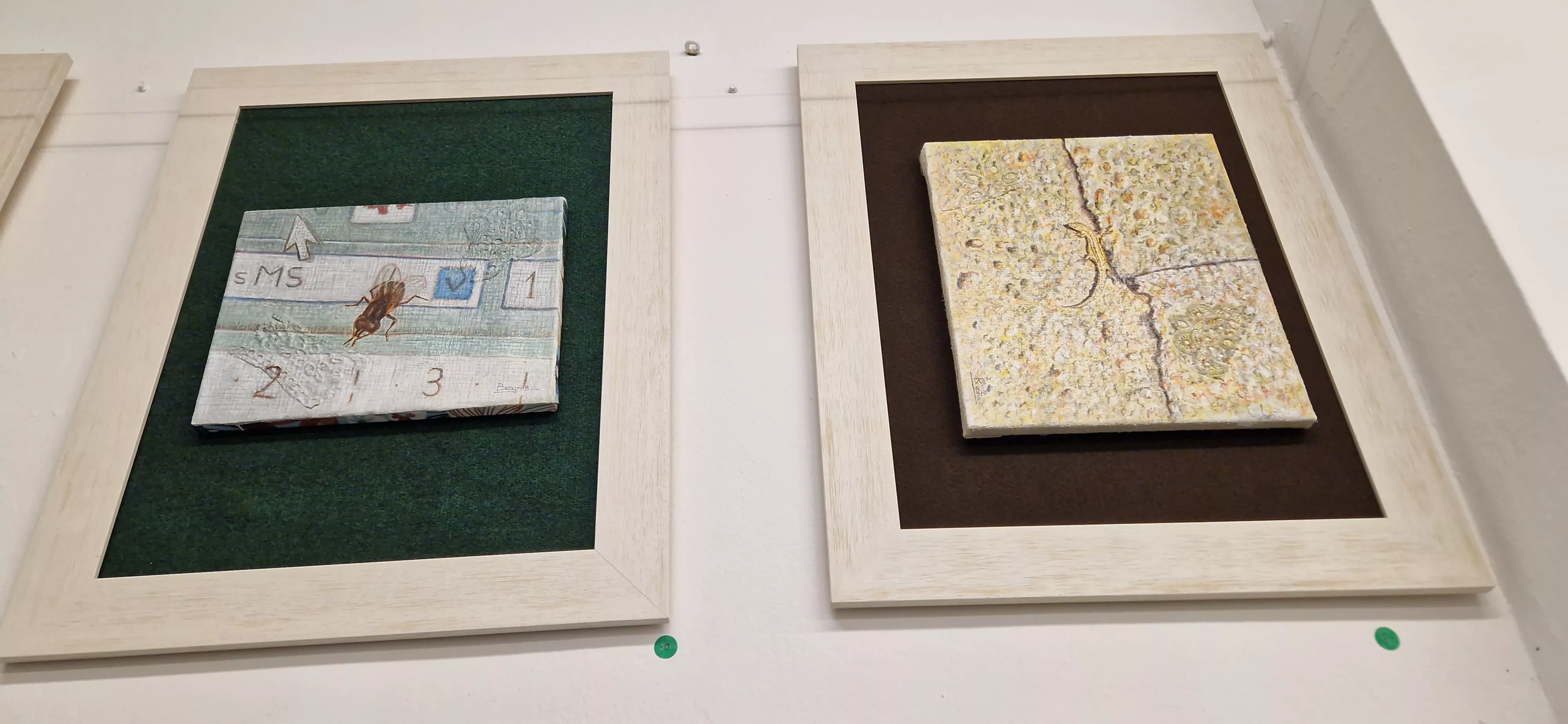 Exposición Animalitos de ciudad de Begoña Sopena. Foto Myriam Martínez