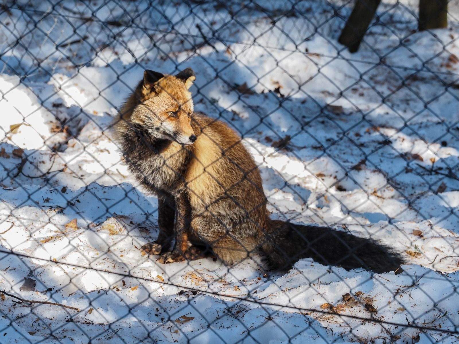 Imágenes del Parque Faunístico Lacuniacha. Foto José Antonio Terrón 