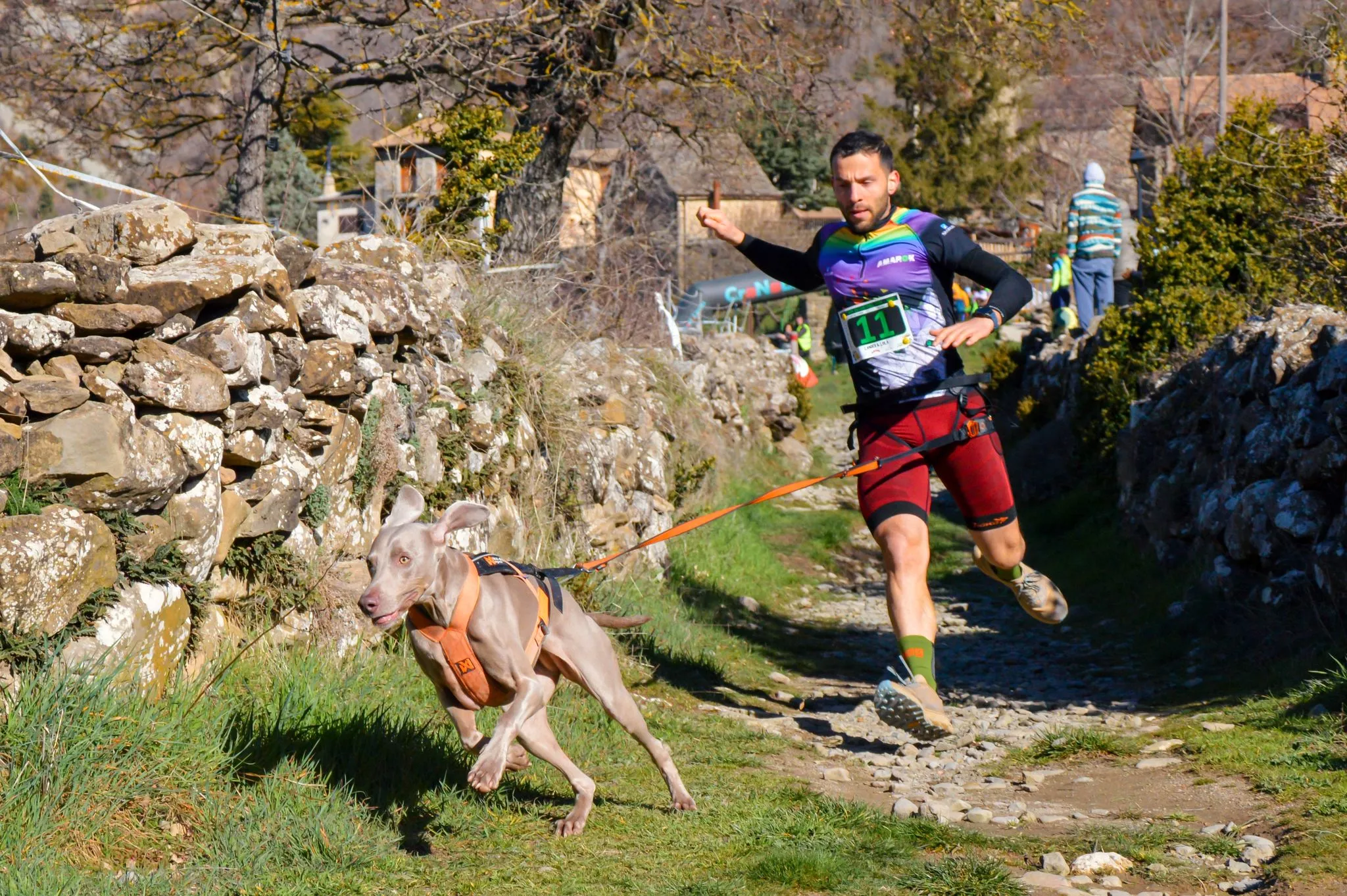 Xtreme Canicross de Arguis 2026