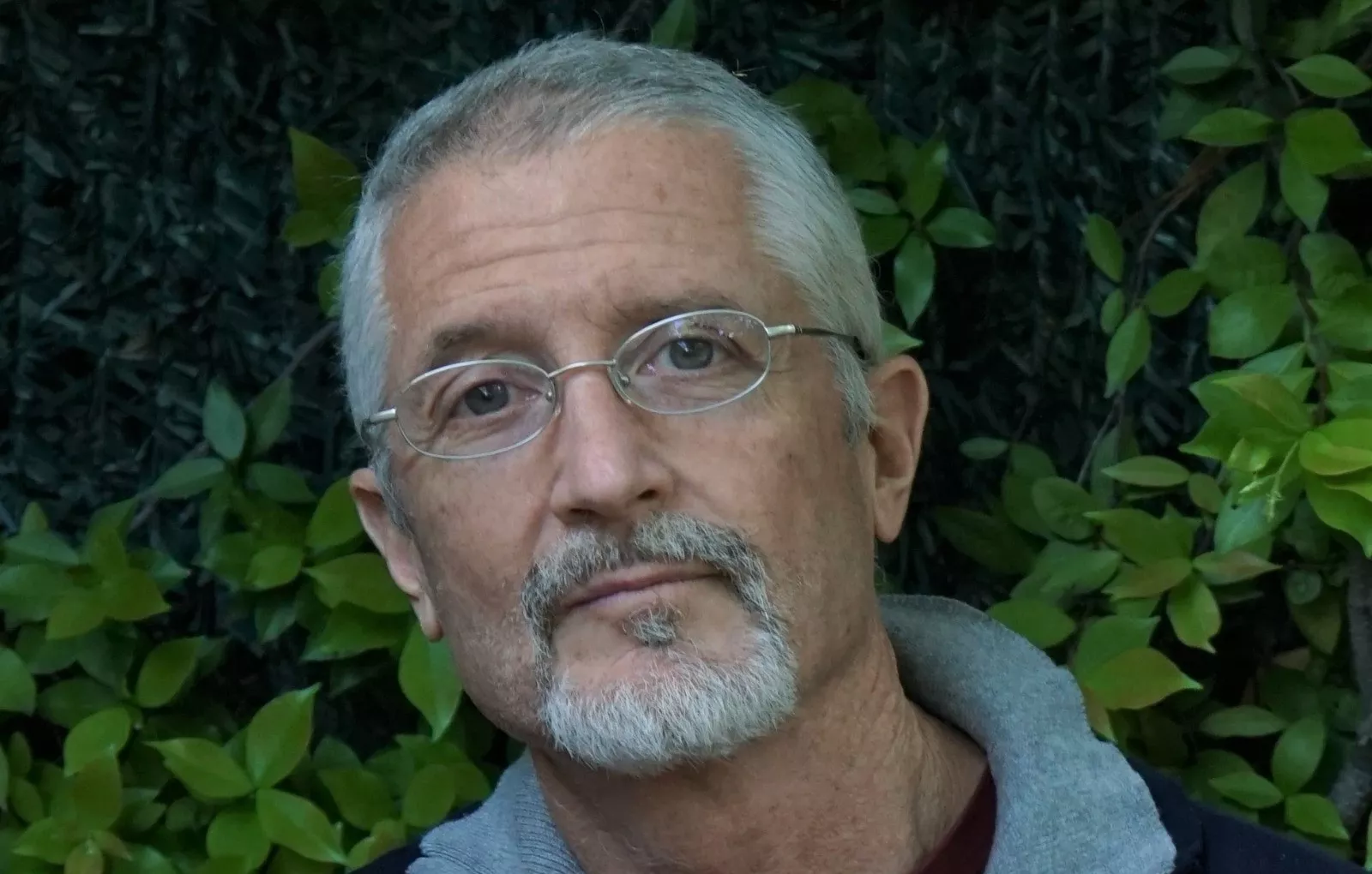 El investigador Fernando Valladares.