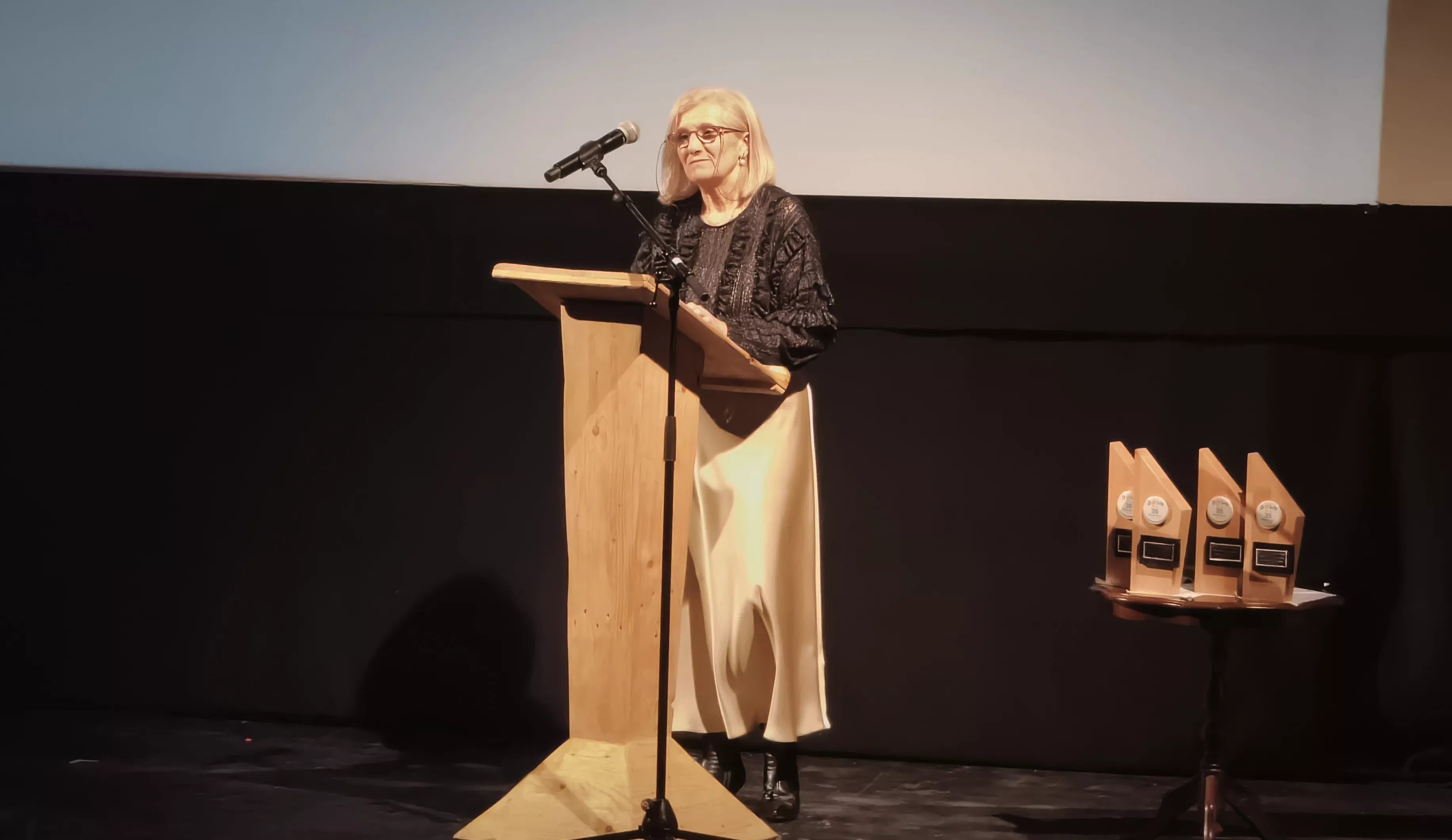 Cosmos Festival de Down Huesca. Foto María José Sampietro