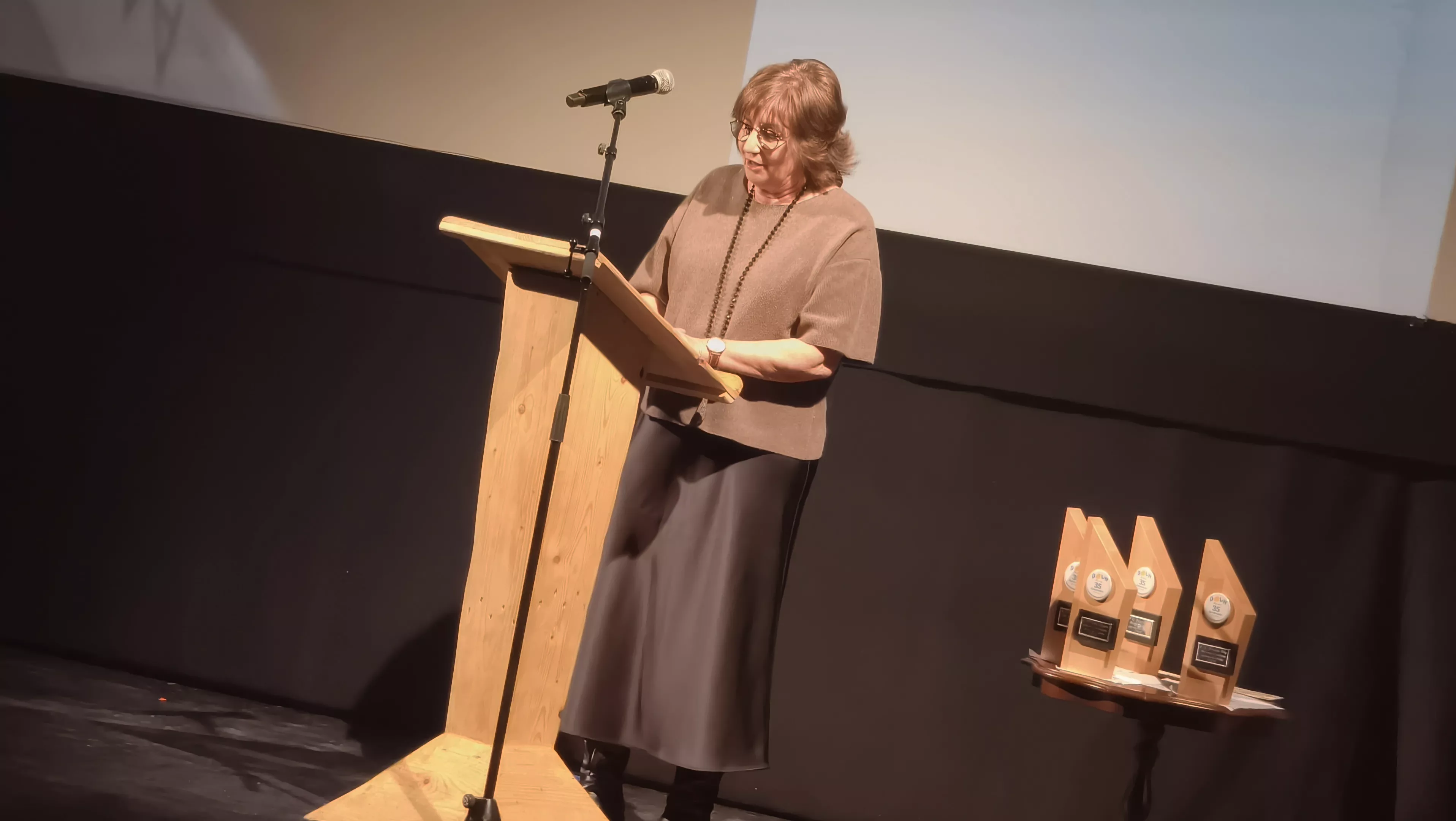 Cosmos Festival de Down Huesca. Foto María José Sampietro