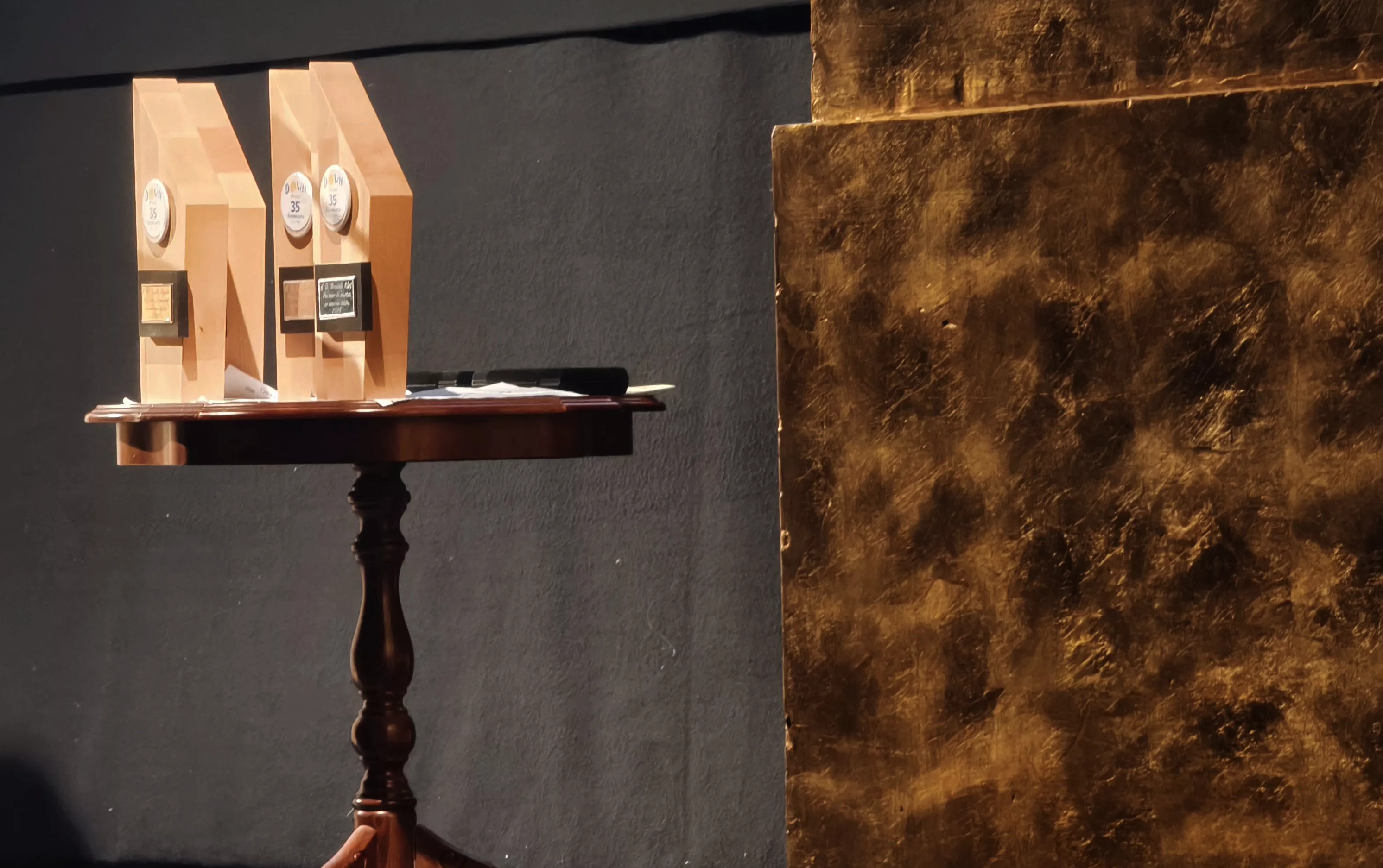 Cosmos Festival de Down Huesca. Foto María José Sampietro