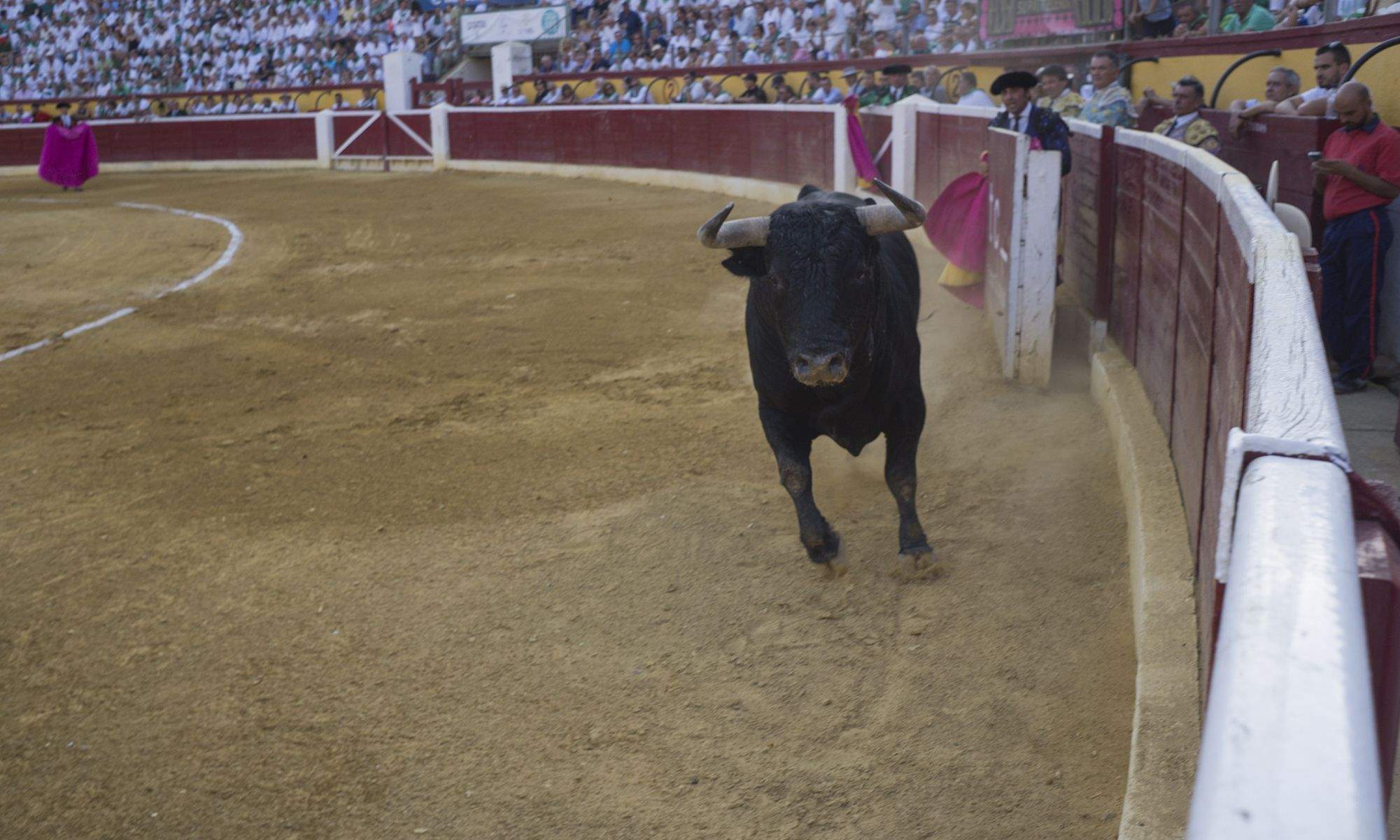 Corrida del jueves 11 de agosto. Foto Jacques Valat 