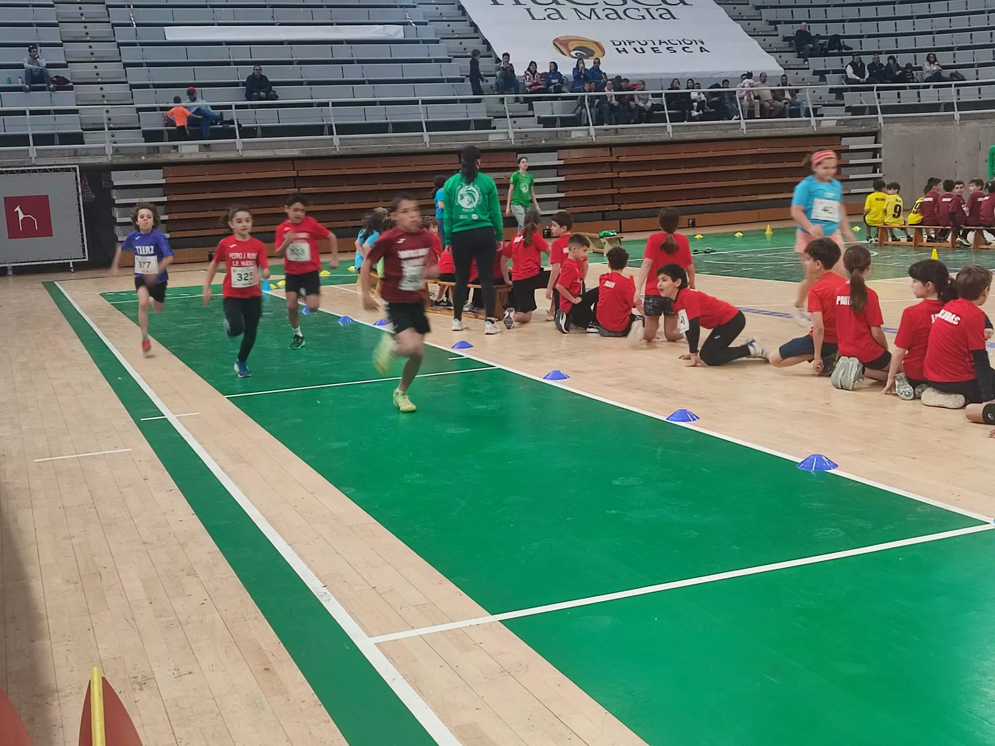 Finales del Atletismo Divertido de 1º a 4º de Primaria