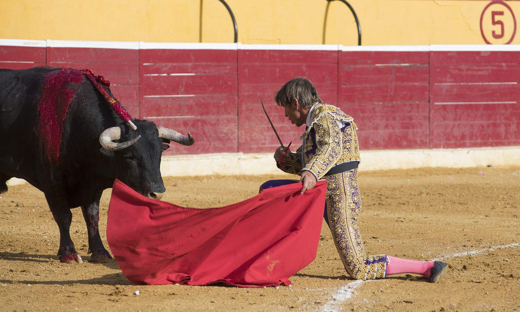 El Cordobés se arrodilla ante el toro. Foto Jacques Valat
