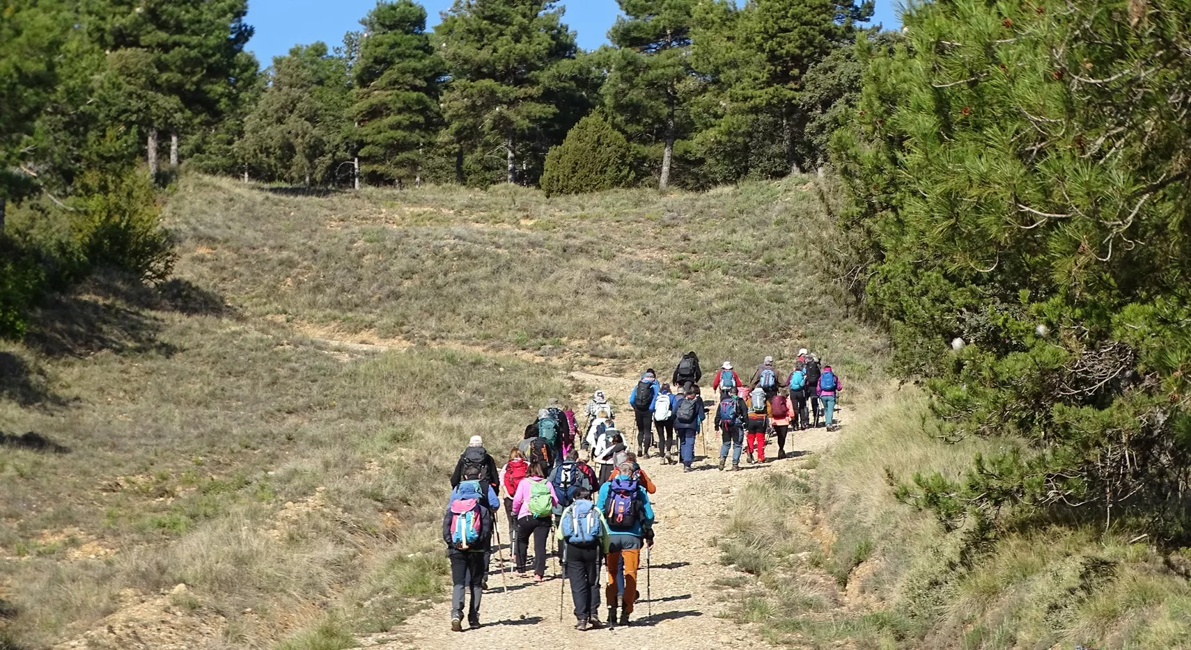 Subiendo al cordal de Colungo. Foto Alfredo Zazo