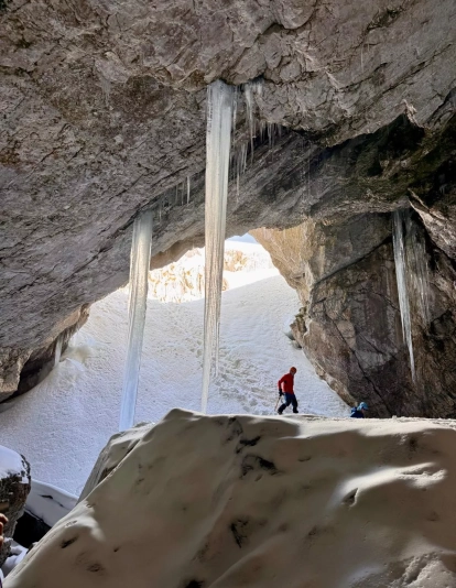 1000049141 1000049141