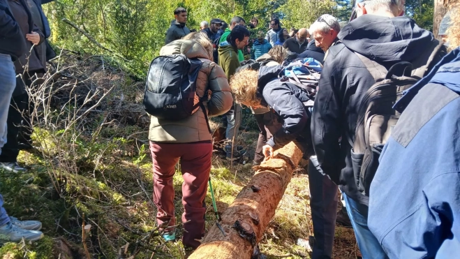 Las jornadas sobre sanidad forestal en el Pirineo han reunido a gestores forestales y expertos de Francia y de España. Las jornadas sobre sanidad forestal en el Pirineo han reunido a gestores forestales y expertos de Francia y de España.