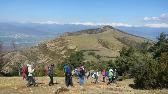 Cuculo3 Anayet CMNabain