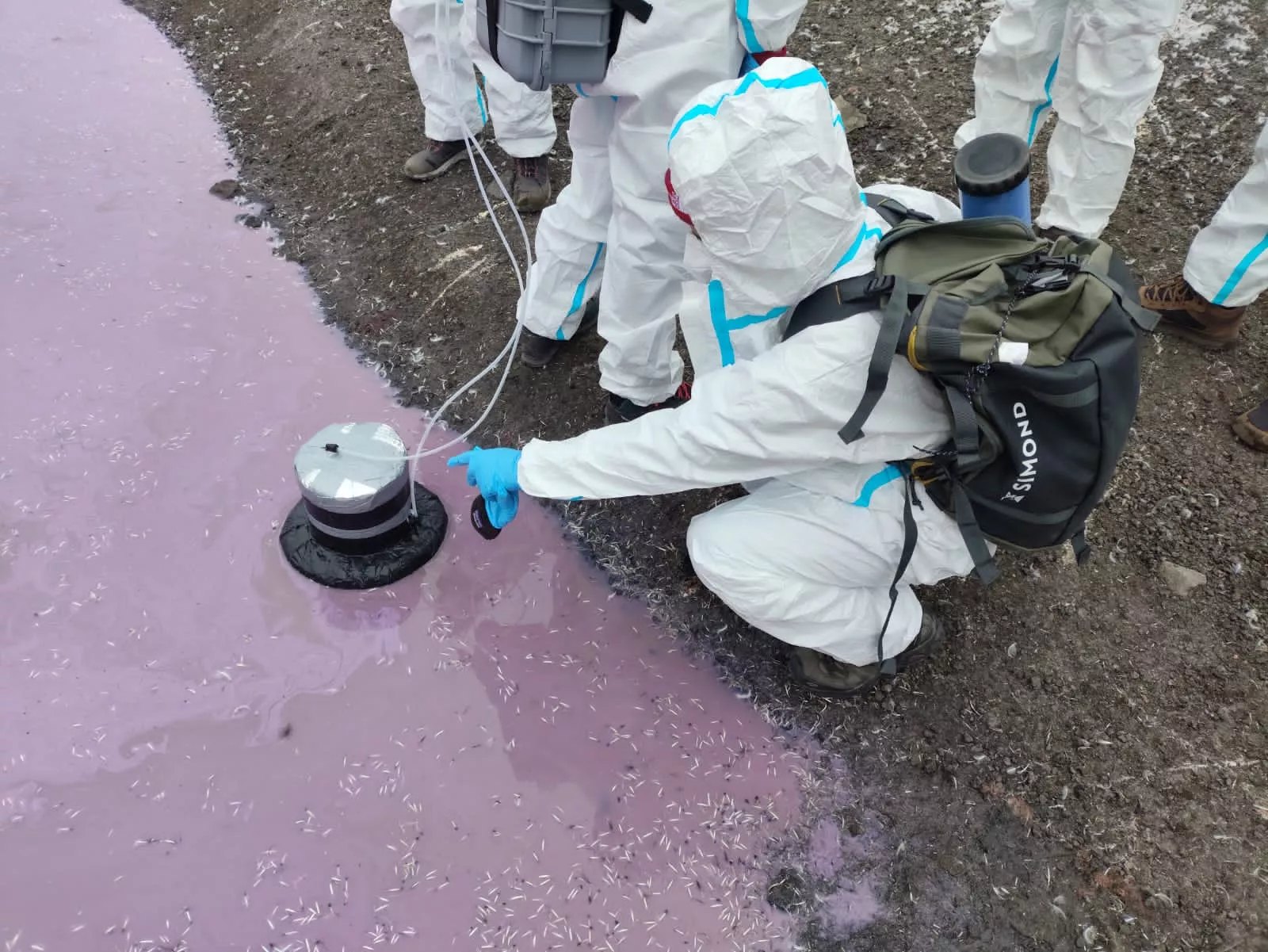 Campaña Antártica Española comandada por el oscense Javier Abizanda. Foto Campaña Antártica Española