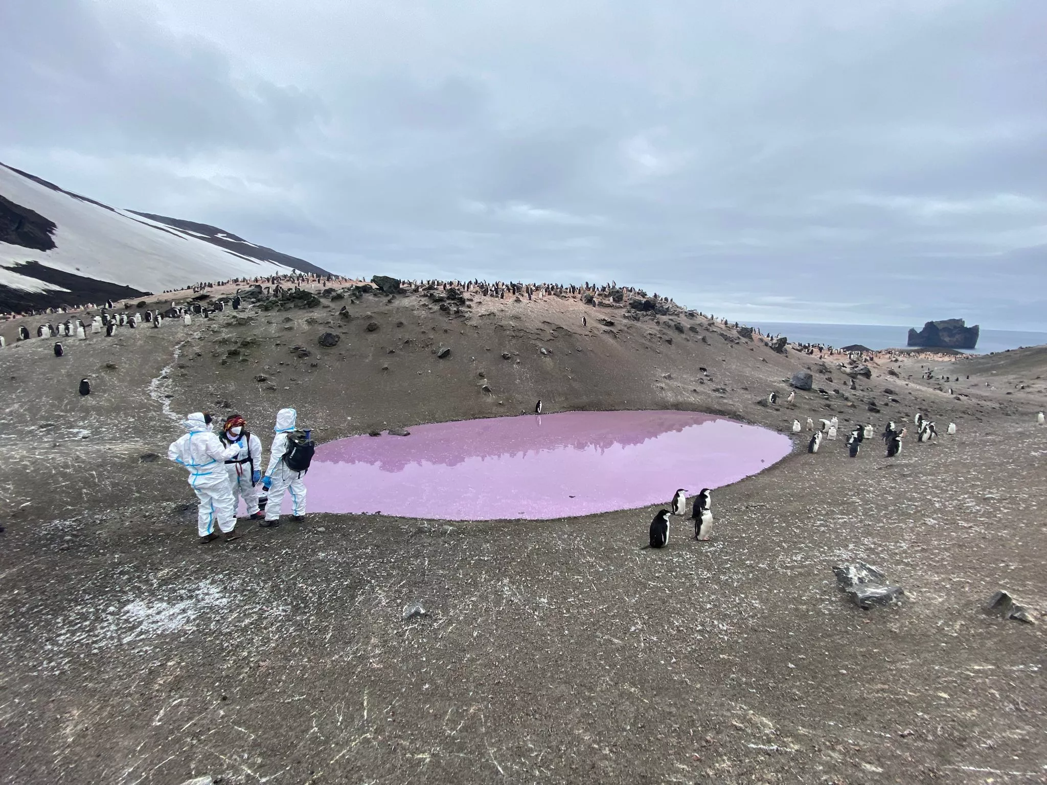 Campaña Antártica Española comandada por el oscense Javier Abizanda. Foto Campaña Antártica Española