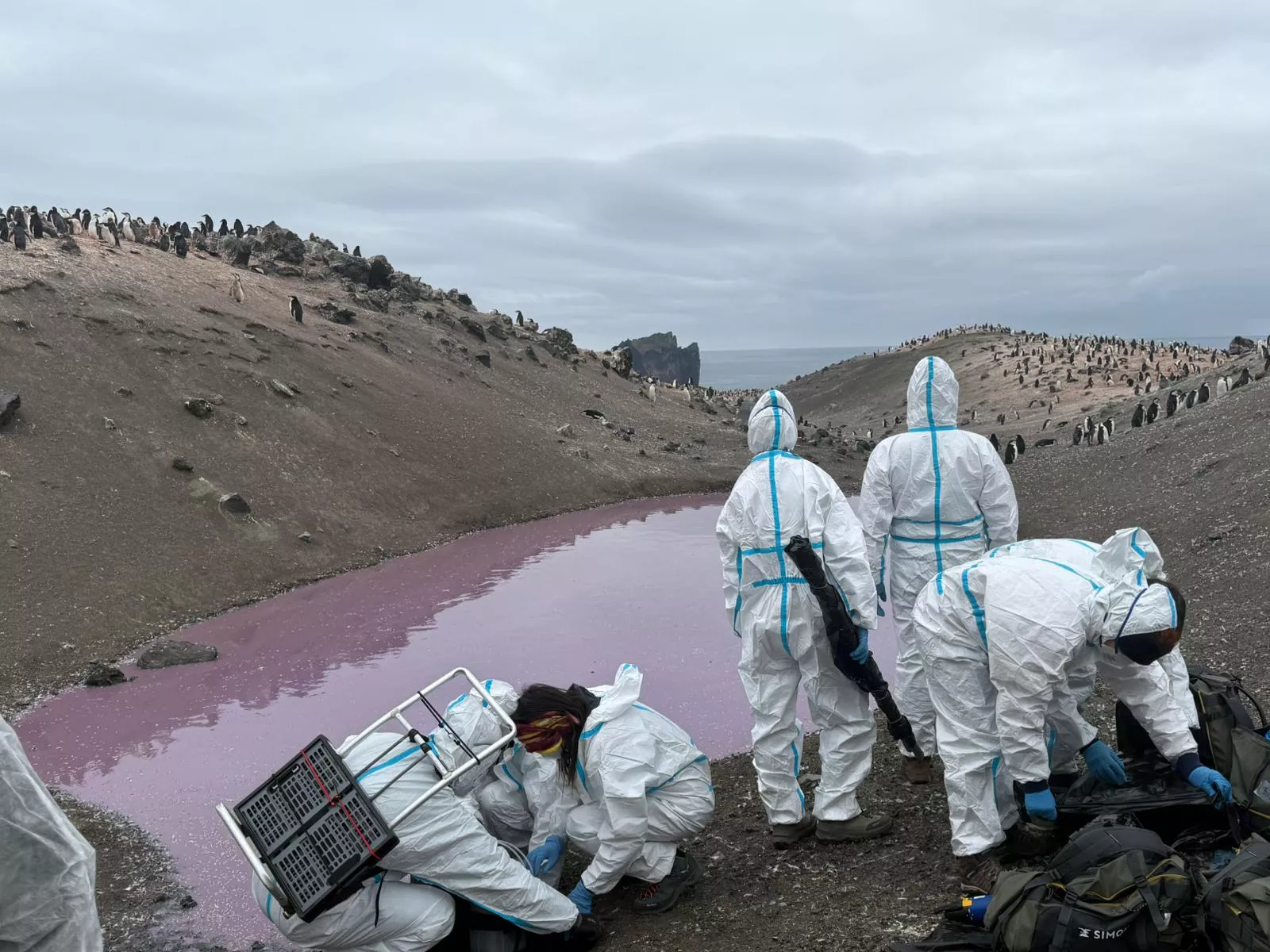 Campaña Antártica Española comandada por el oscense Javier Abizanda. Foto Campaña Antártica Española