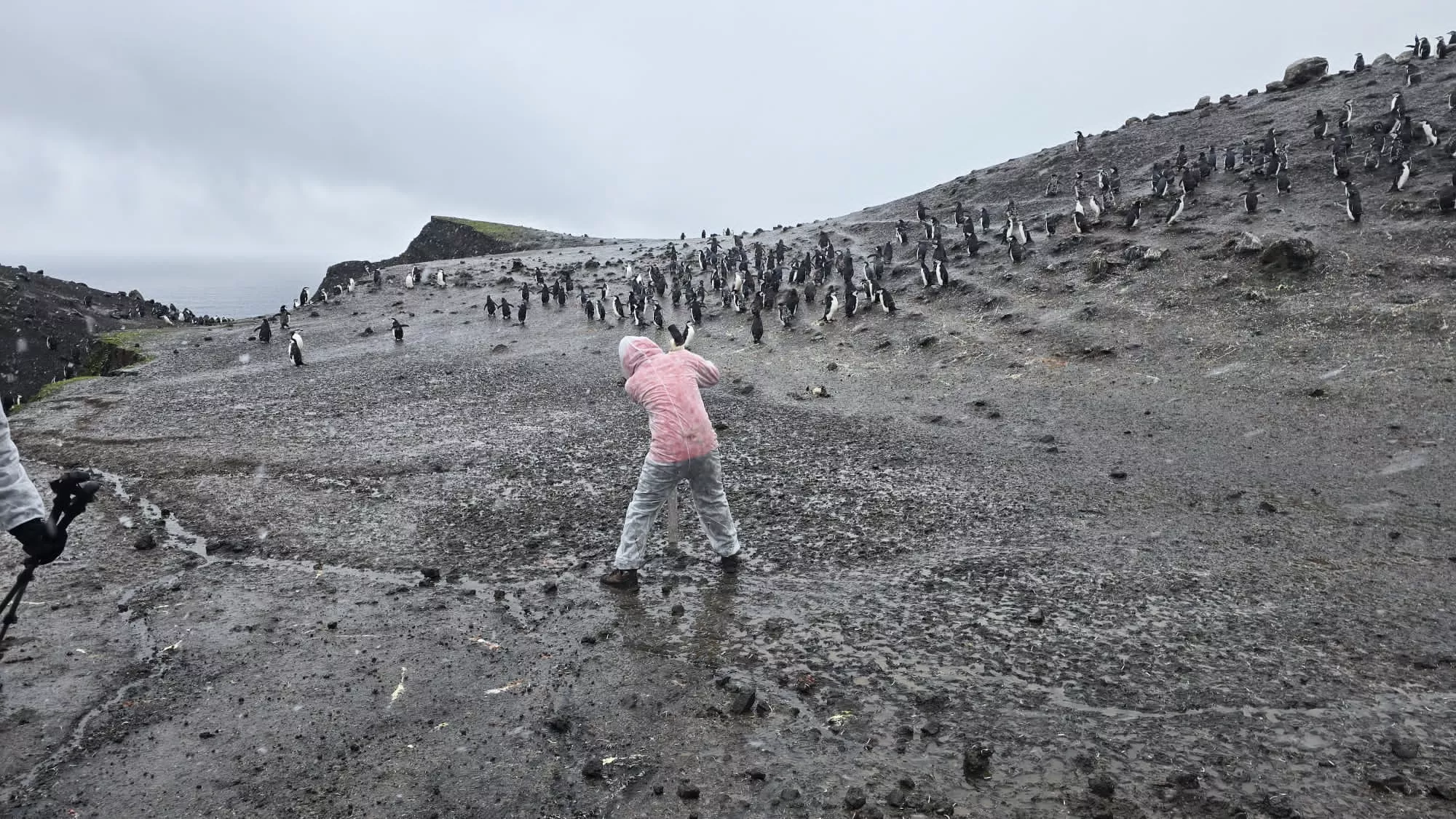Campaña Antártica Española comandada por el oscense Javier Abizanda. Foto Campaña Antártica Española