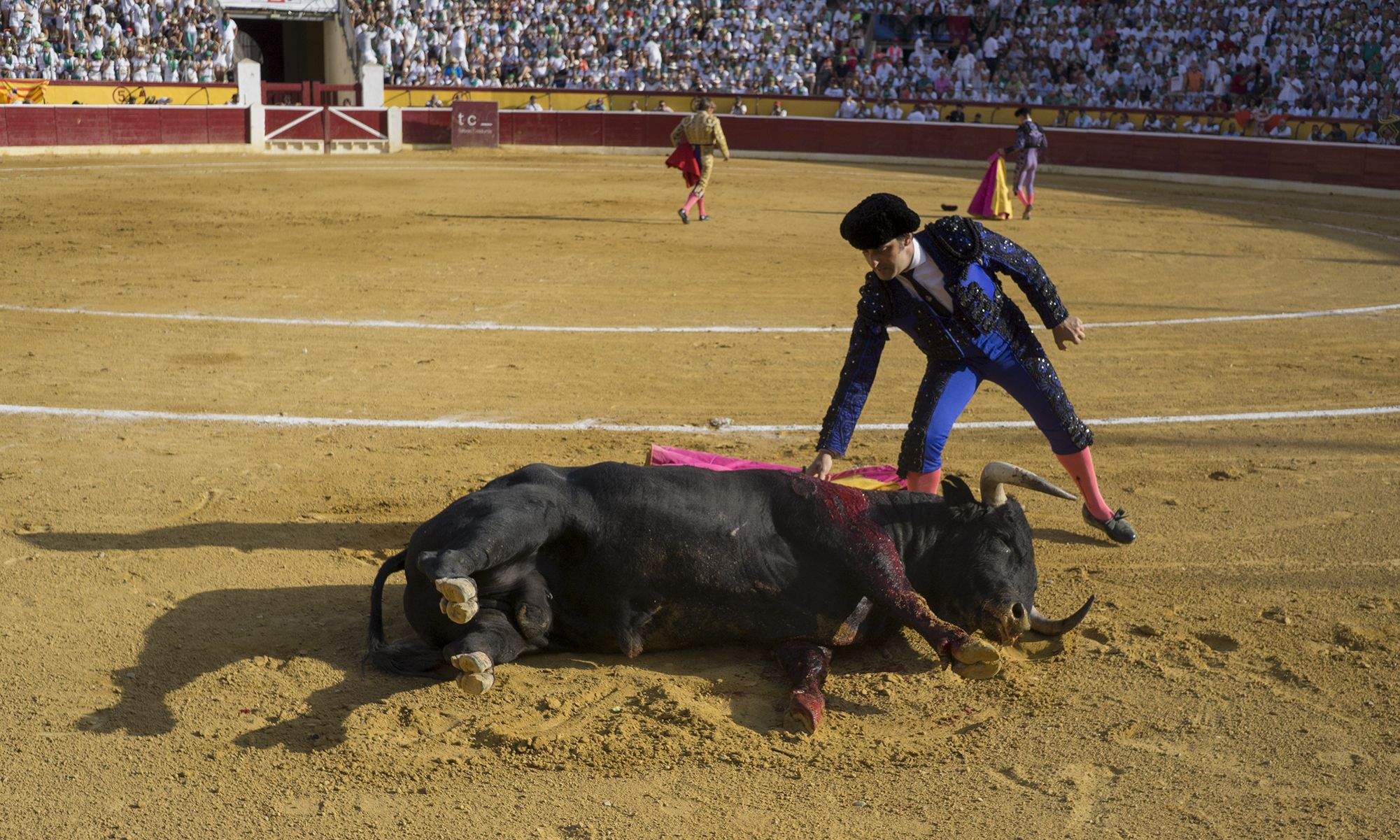 Corrida del jueves 11 de agosto. Foto Jacques Valat 