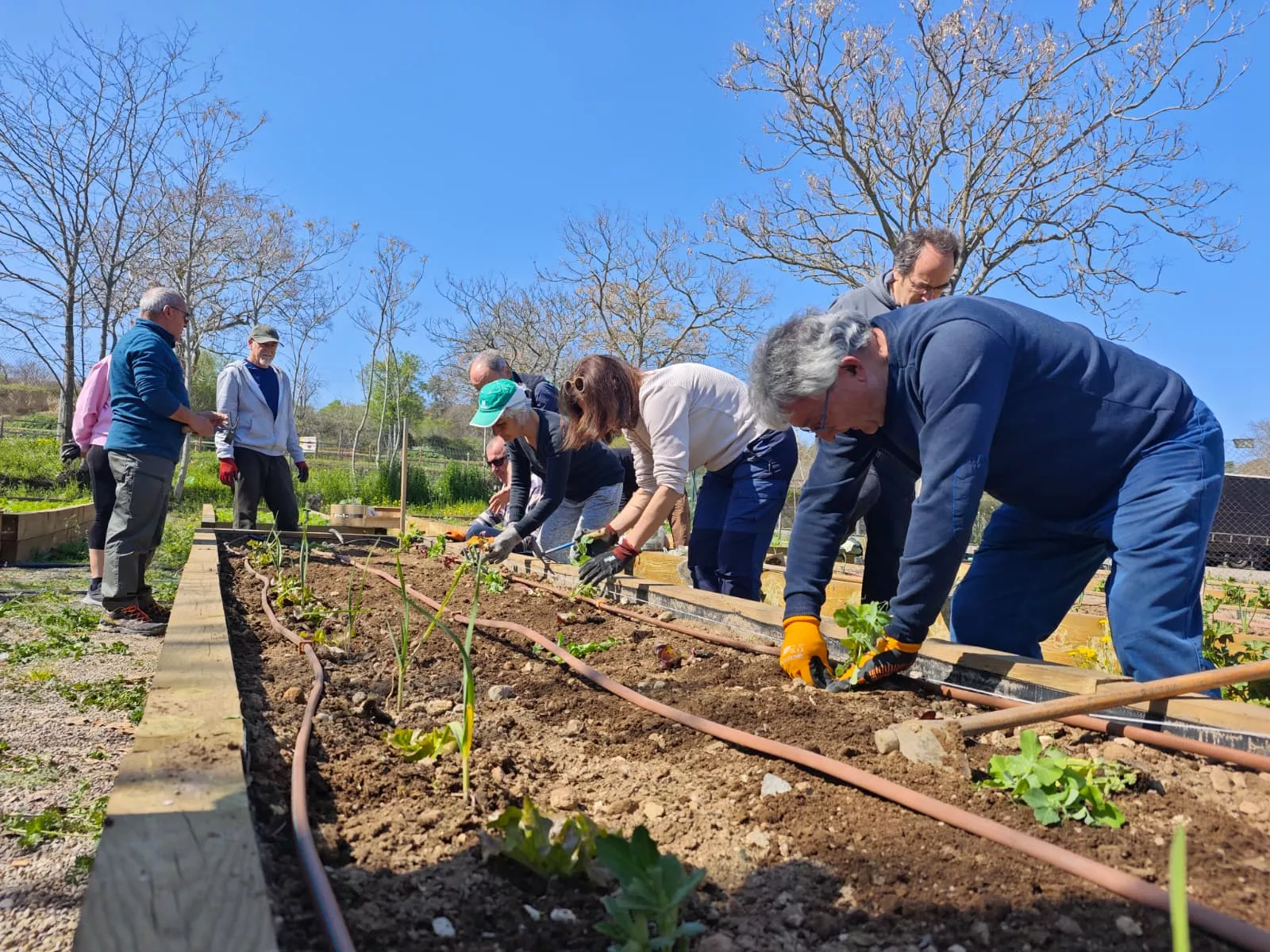 Curso de gestión de huertos ecológicos en Barbastro
