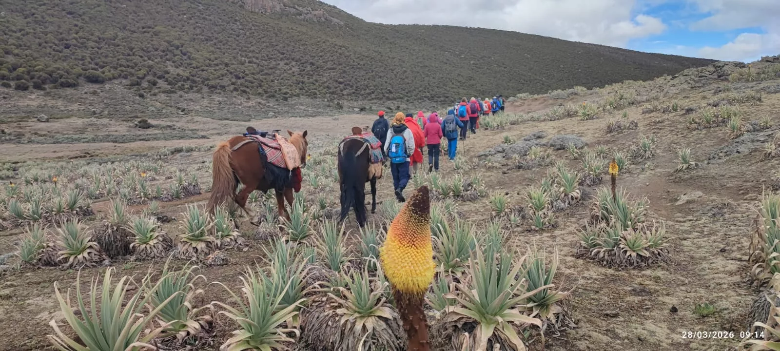 16 expedicionarios a Etiopía en un viaje solidario de Entarachen Bosco Global. Fotos Antonio Rico