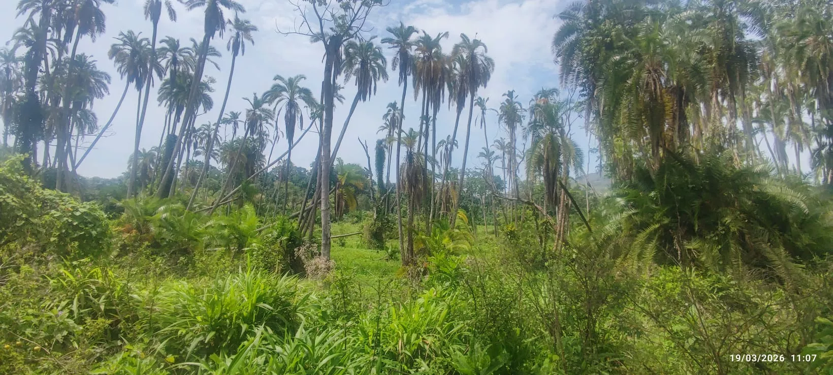 16 expedicionarios a Etiopía en un viaje solidario de Entarachen Bosco Global. Fotos Antonio Rico