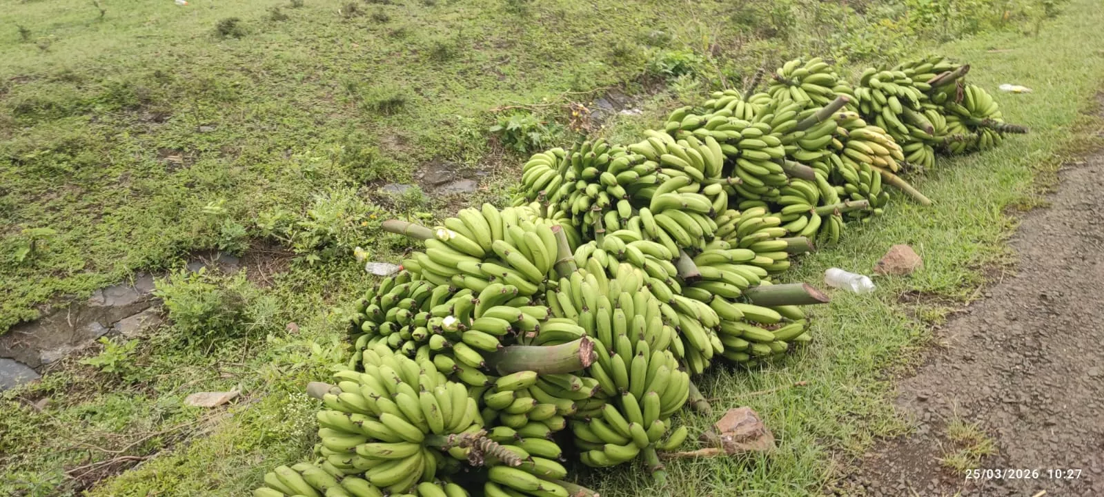 16 expedicionarios a Etiopía en un viaje solidario de Entarachen Bosco Global. Fotos Antonio Rico
