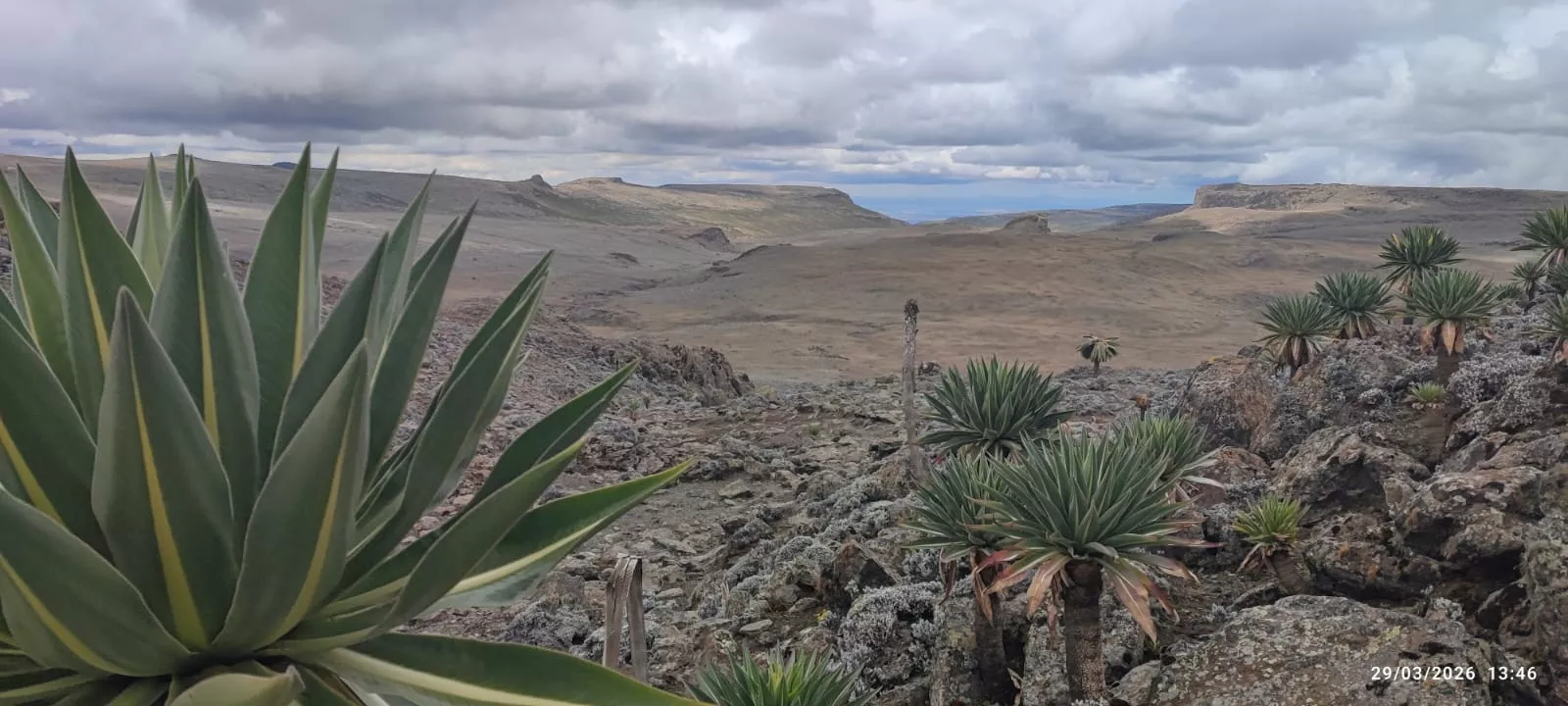 16 expedicionarios a Etiopía en un viaje solidario de Entarachen Bosco Global. Fotos Antonio Rico