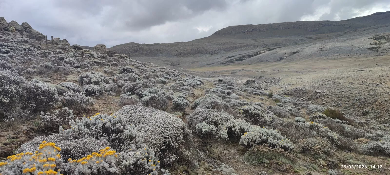 16 expedicionarios a Etiopía en un viaje solidario de Entarachen Bosco Global. Fotos Antonio Rico