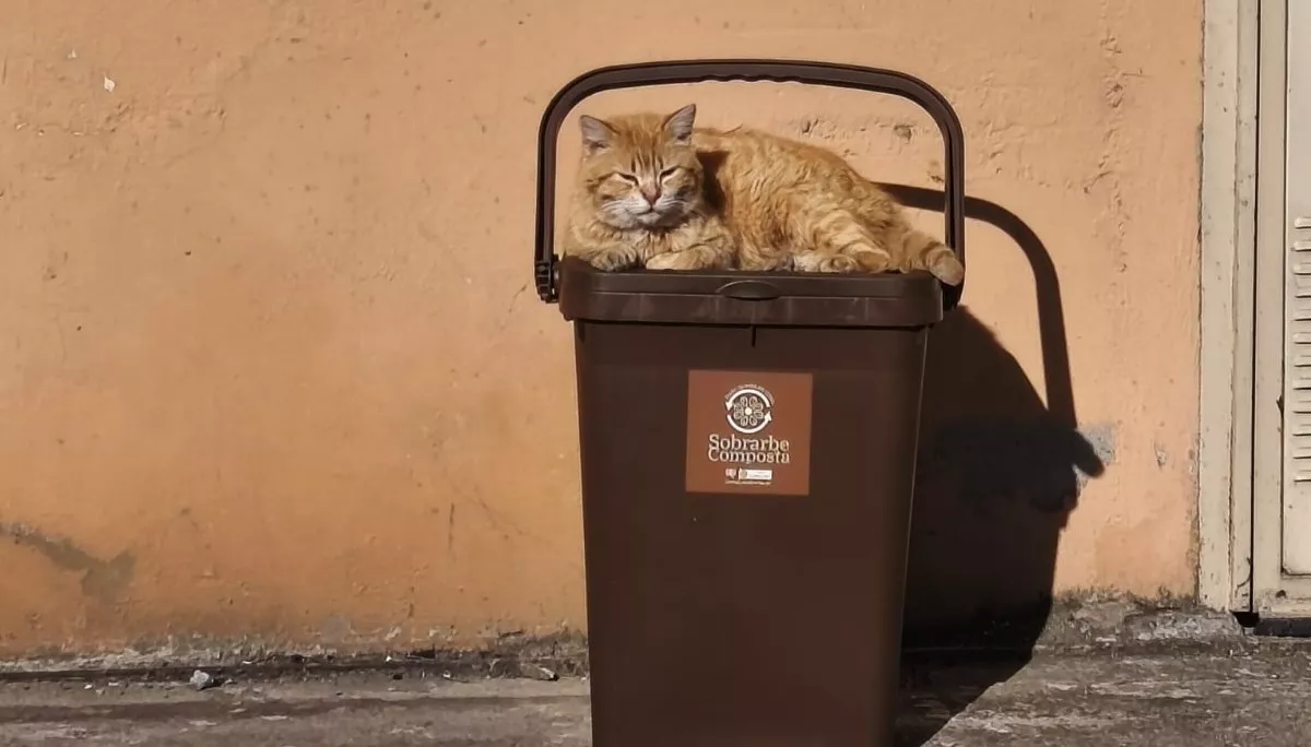 Sobrarbe avanza en la recogida orgánica con un servicio puerta a puerta en establecimientos.
