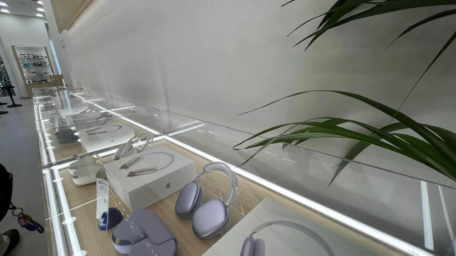 Nuevo establecimiento de Ecomputer en el Coso Bajo de Huesca. Foto Mercedes Manterola