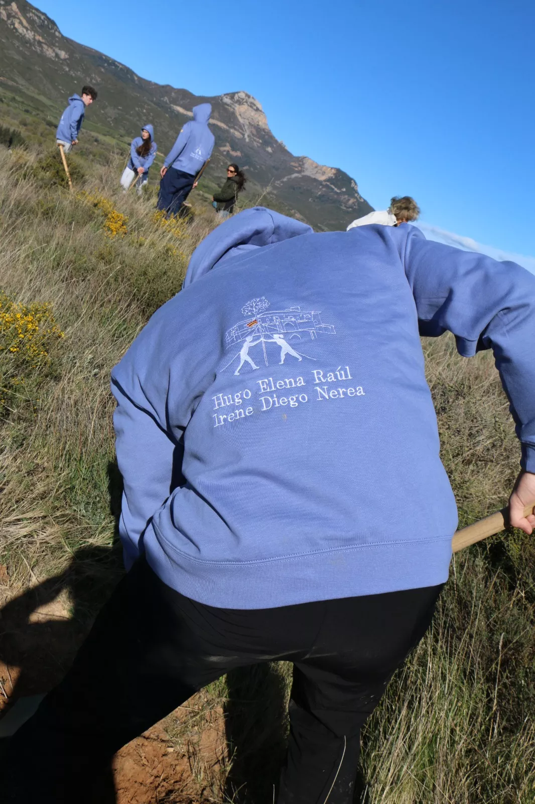 Plantación de los quintos de Bolea