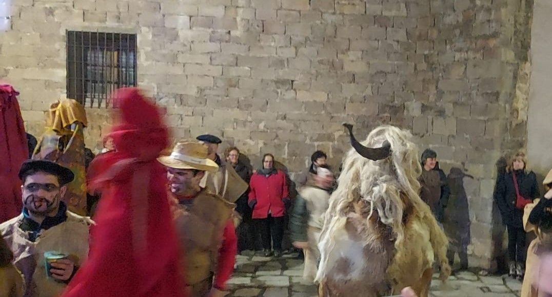  Carnaval de los Zarrapatrosos de Berdún